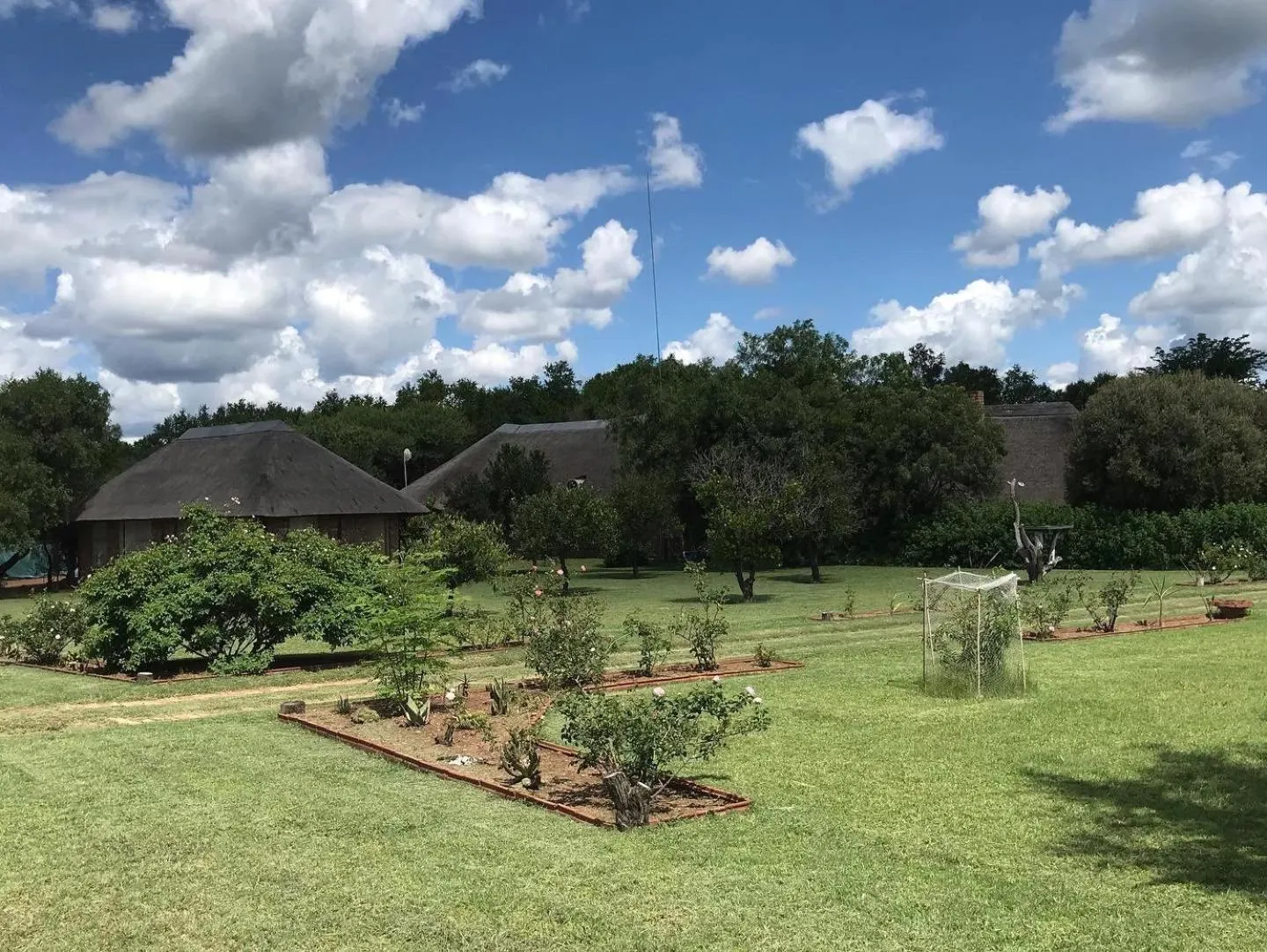 Garden in Tamboti Bush Lodge