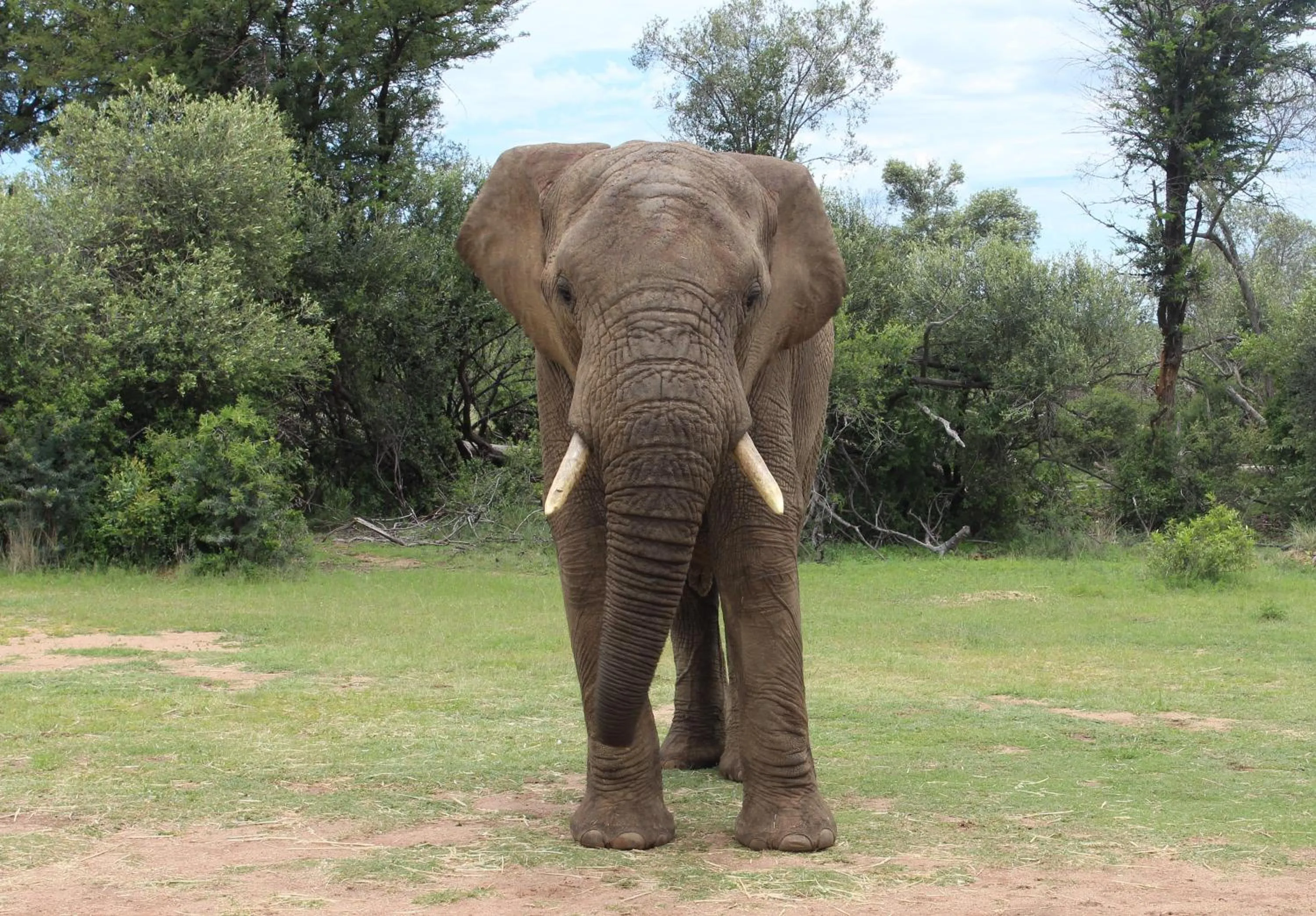 Off site in Tamboti Bush Lodge