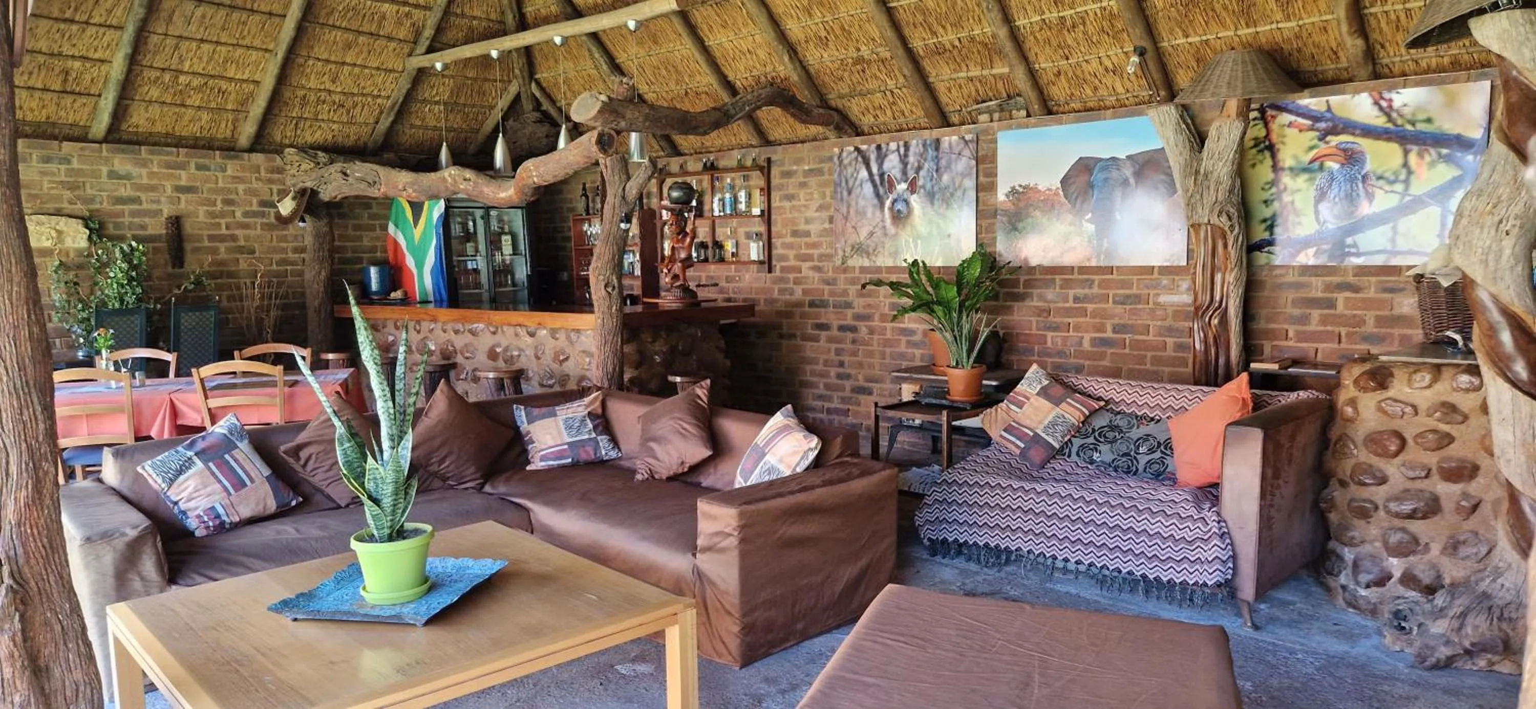 Lounge or bar in Tamboti Bush Lodge