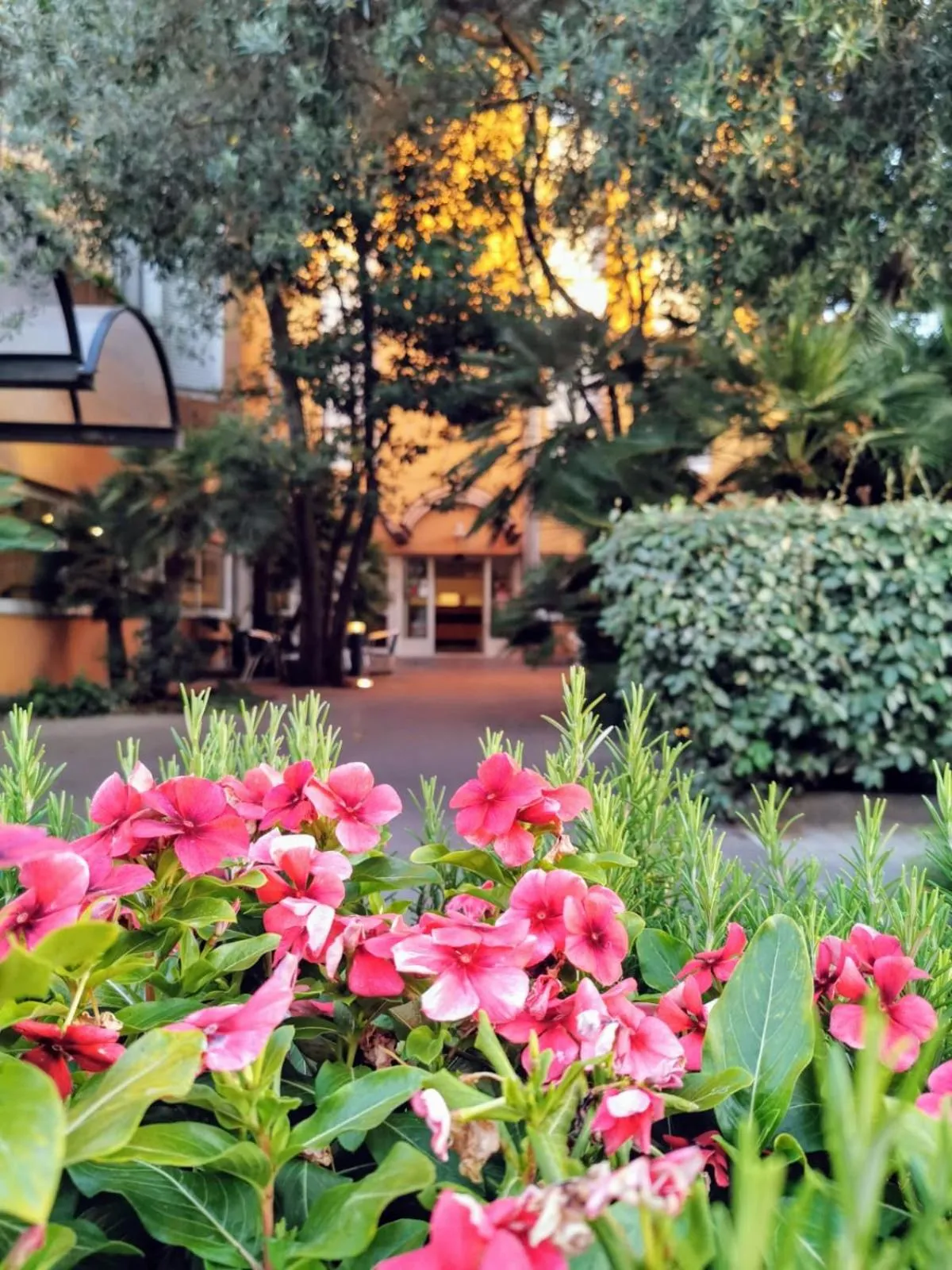 Property building in Mistral2 Hotel