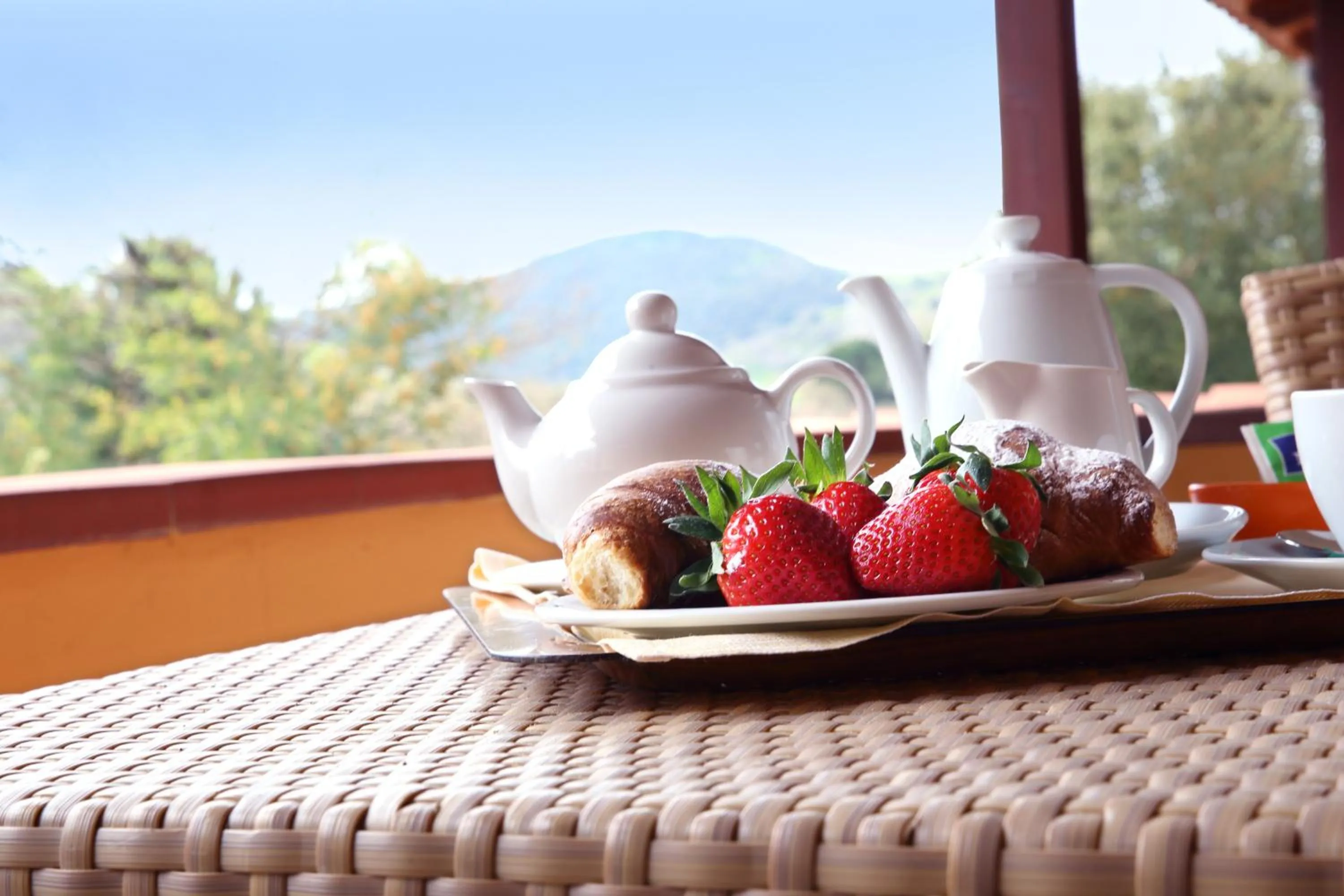 Balcony/Terrace in Pausania Inn