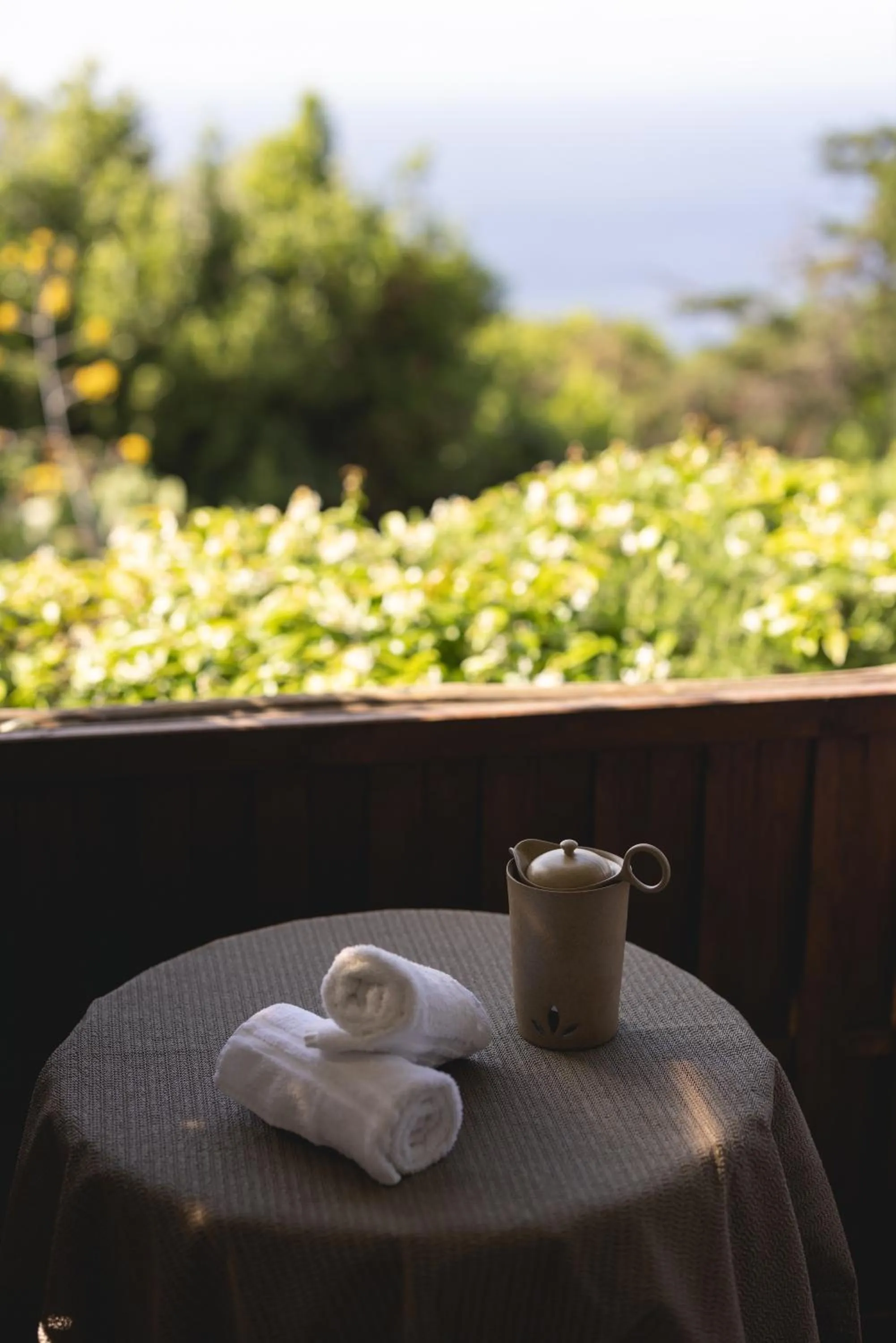 Garden in Hotel Caesar Augustus