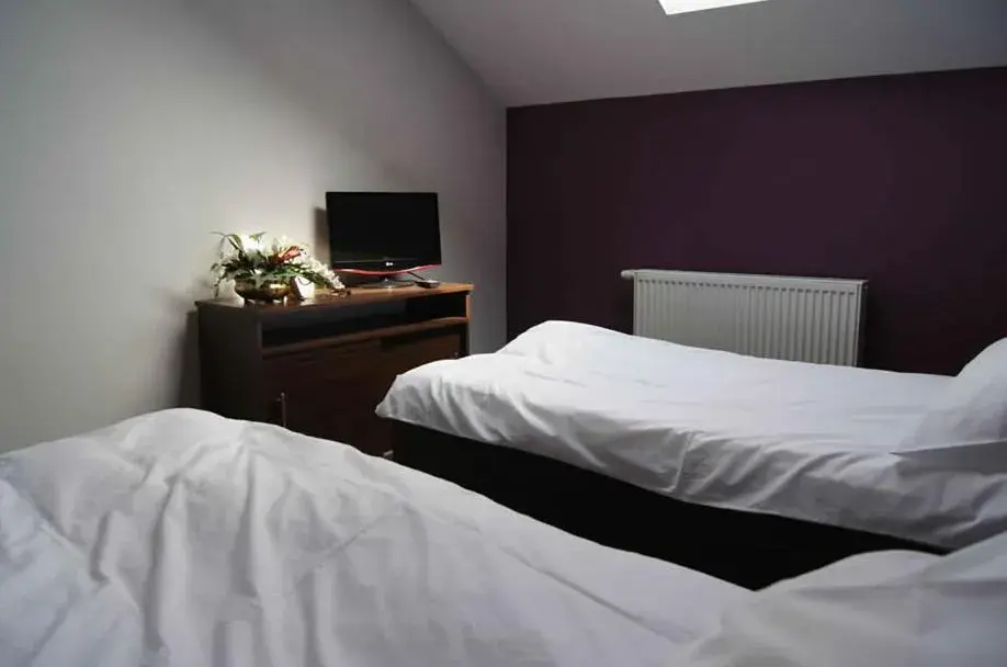 Double or Twin Room in Motel-Restauracja Ballaton Double or Twin Room in Motel-Restauracja Ballaton