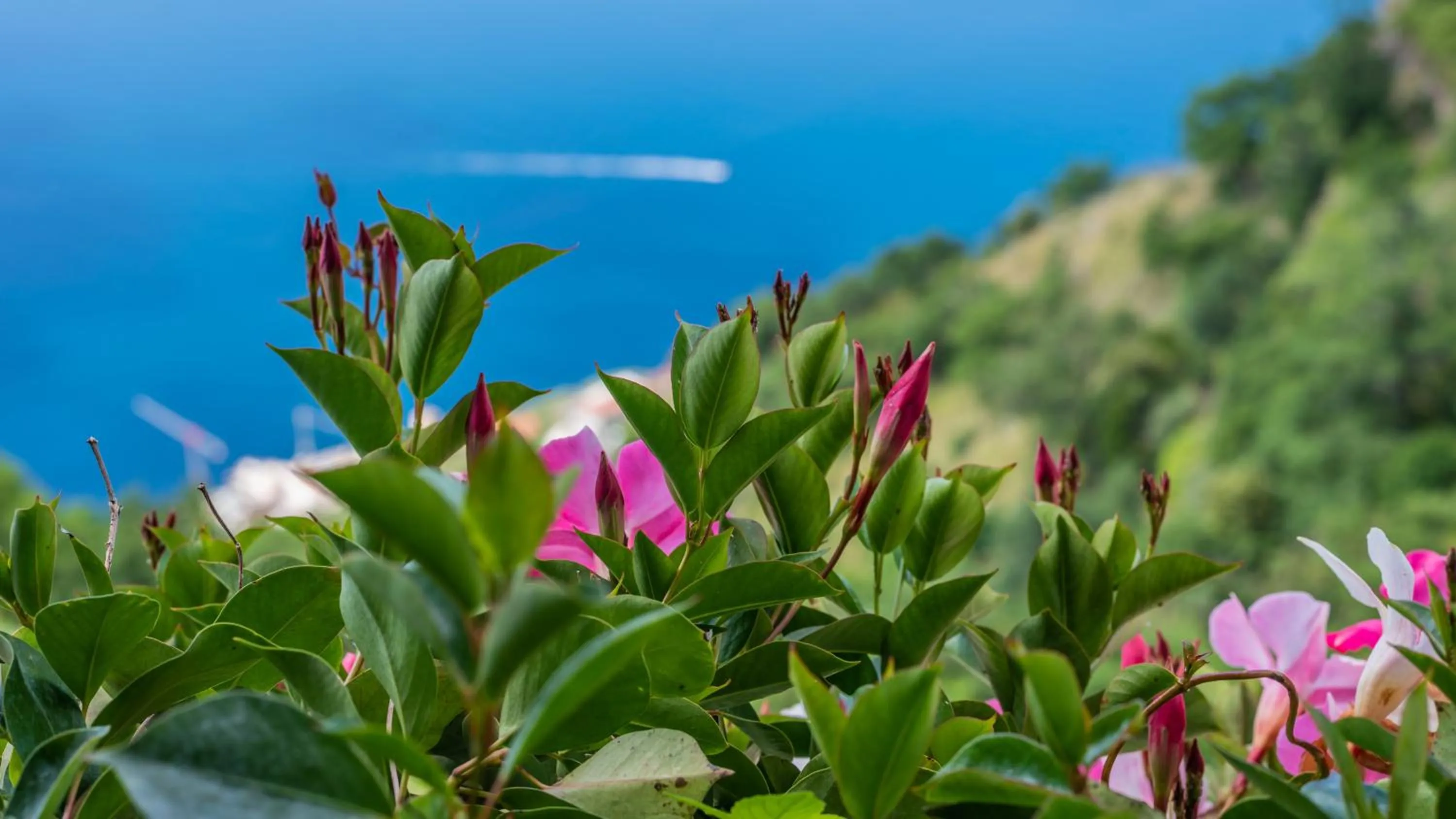 Albergo Diffuso Bacco Furore