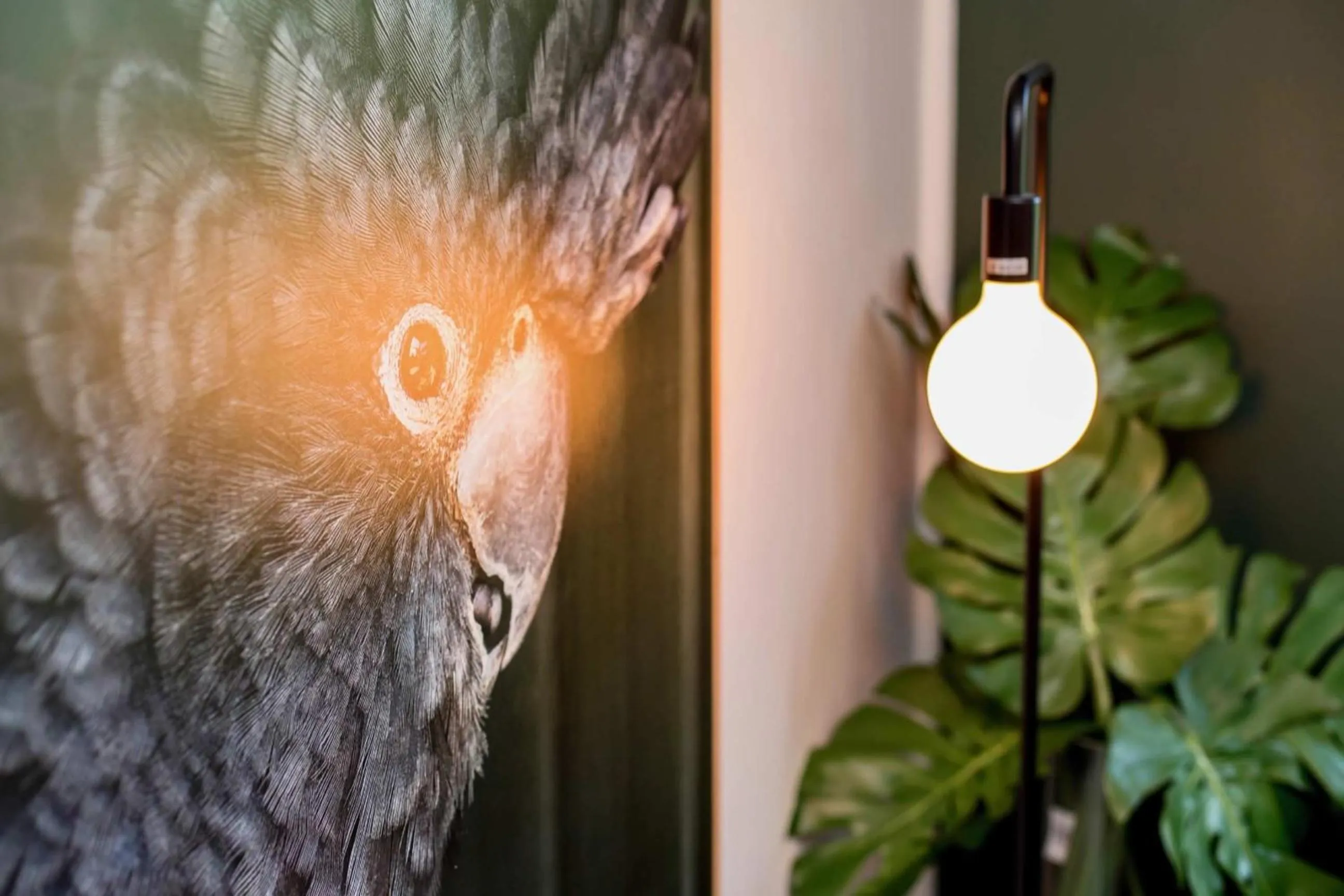 Living room in The Baylis Boutique Apartments