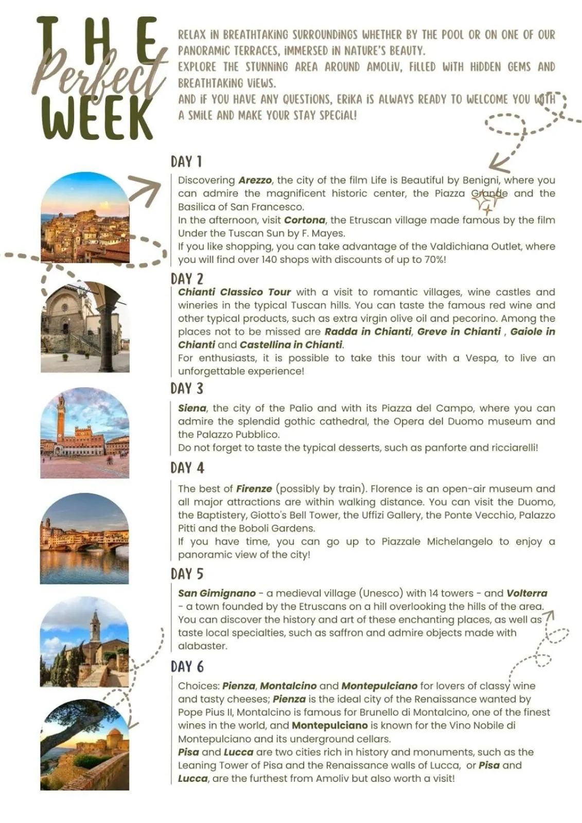 Text overlay in Amoliv