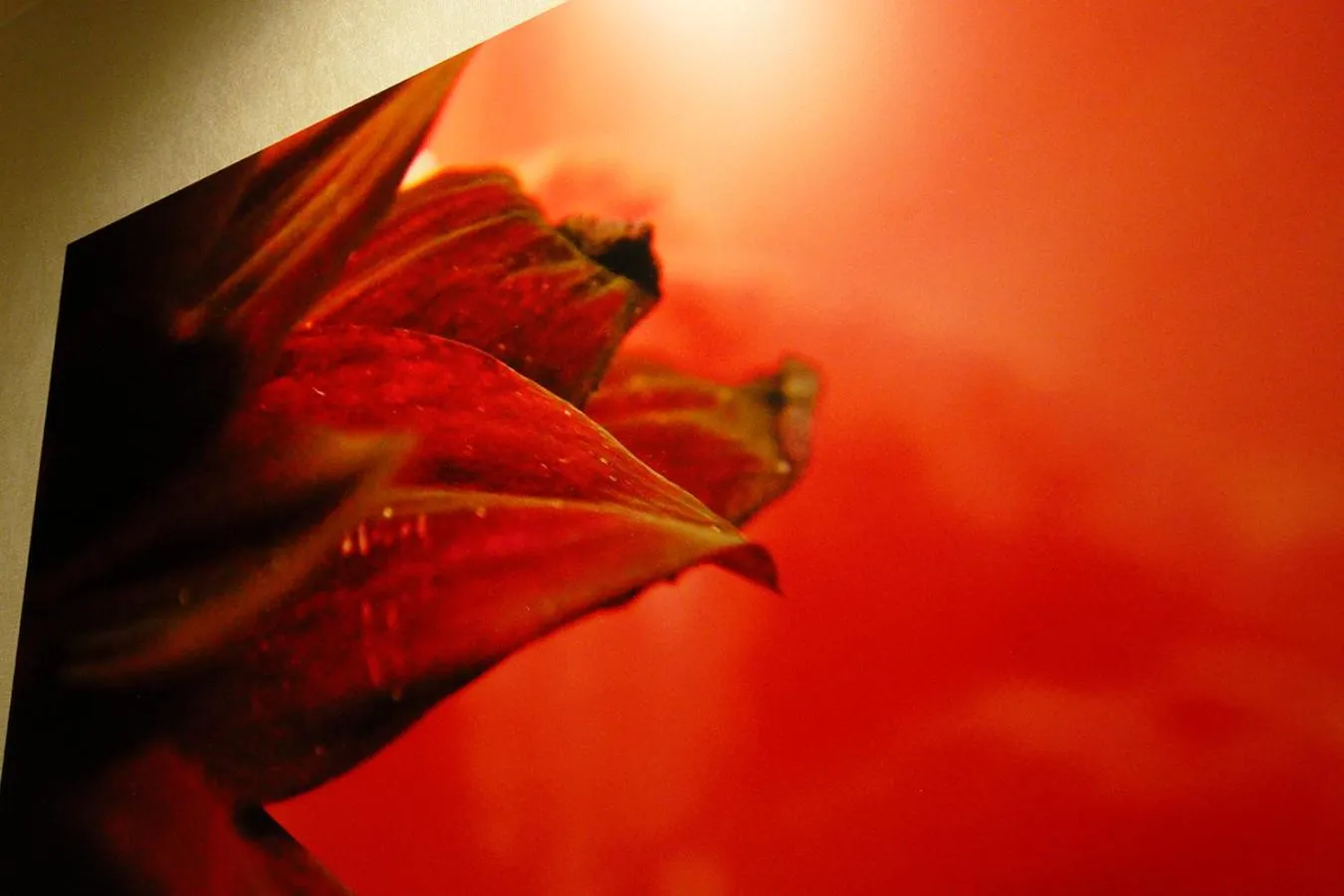 Bedroom in Think・Hotel・Think