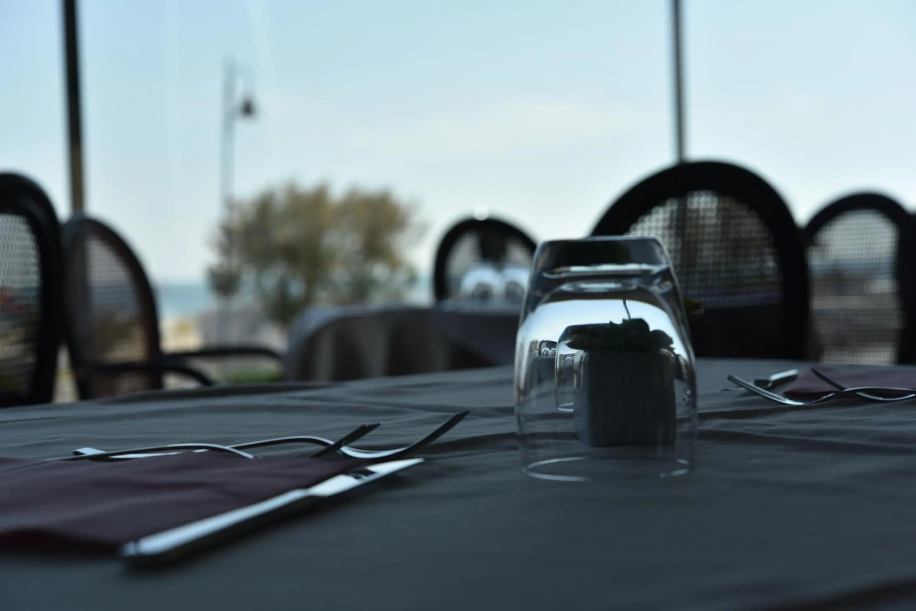 Hotel Regina Fronte Mare