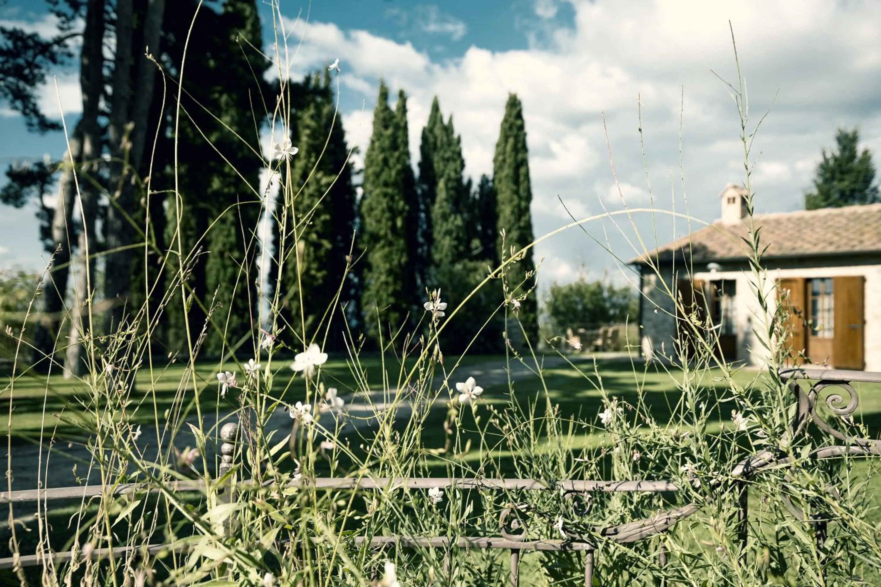 Garden in Borgo Di Pietrafitta Relais