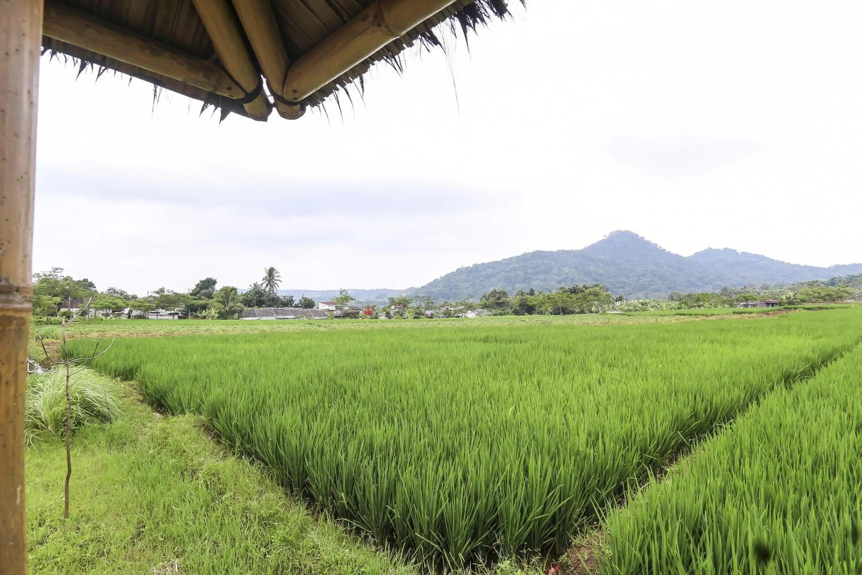 Lobby or reception in OYO Homes 91151 Desa Wisata Kreatif Perdamaian Srumbung Gunung
