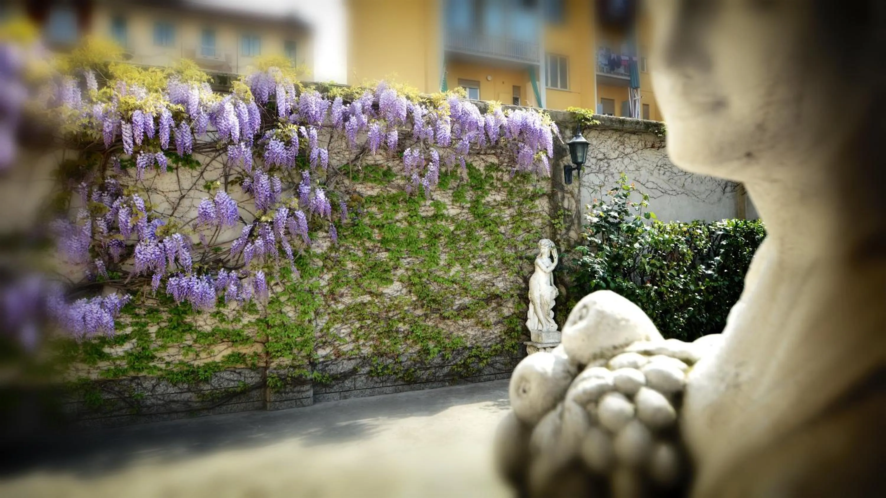 Garden in Astor Hotel