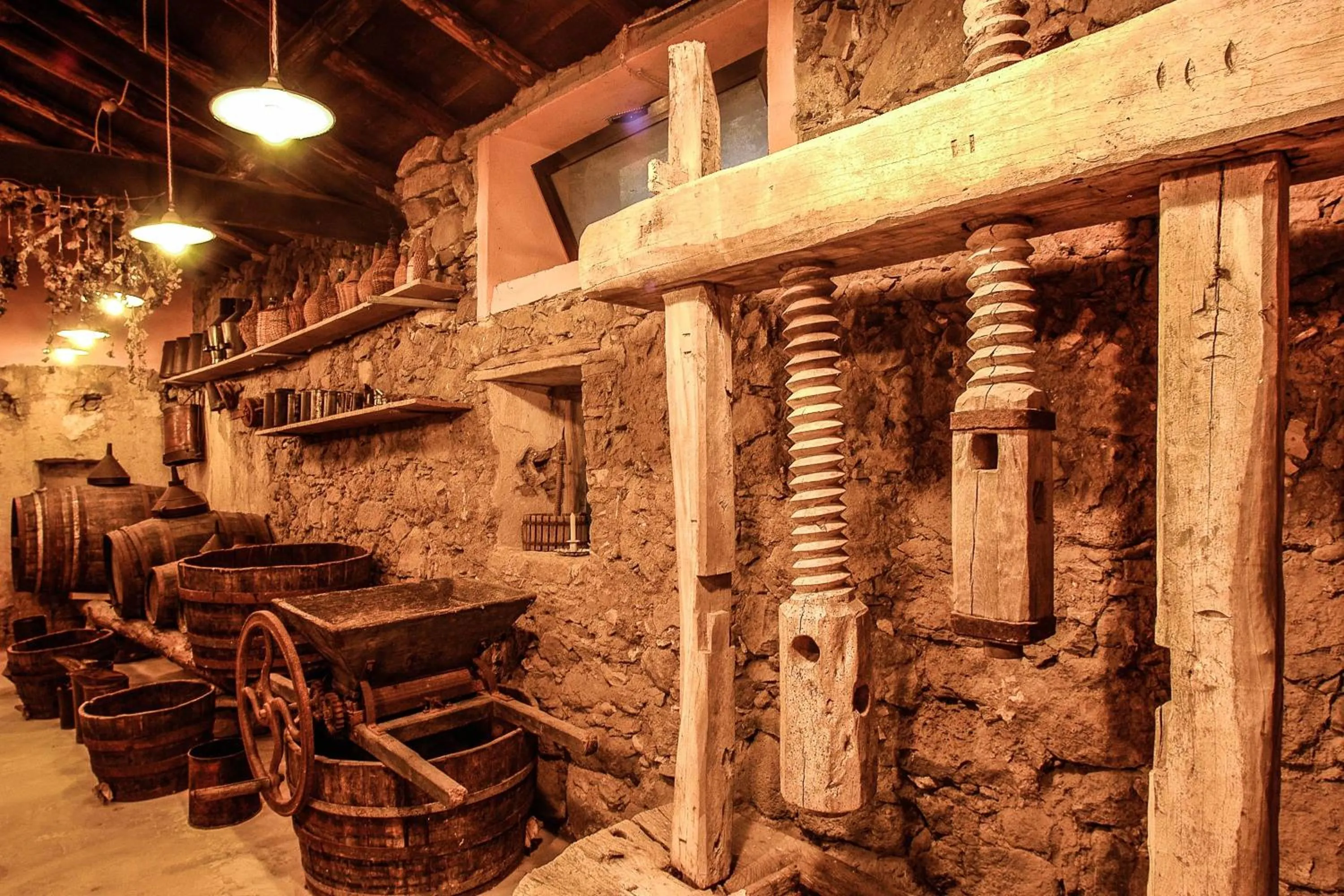 Activities in Omu Axiu