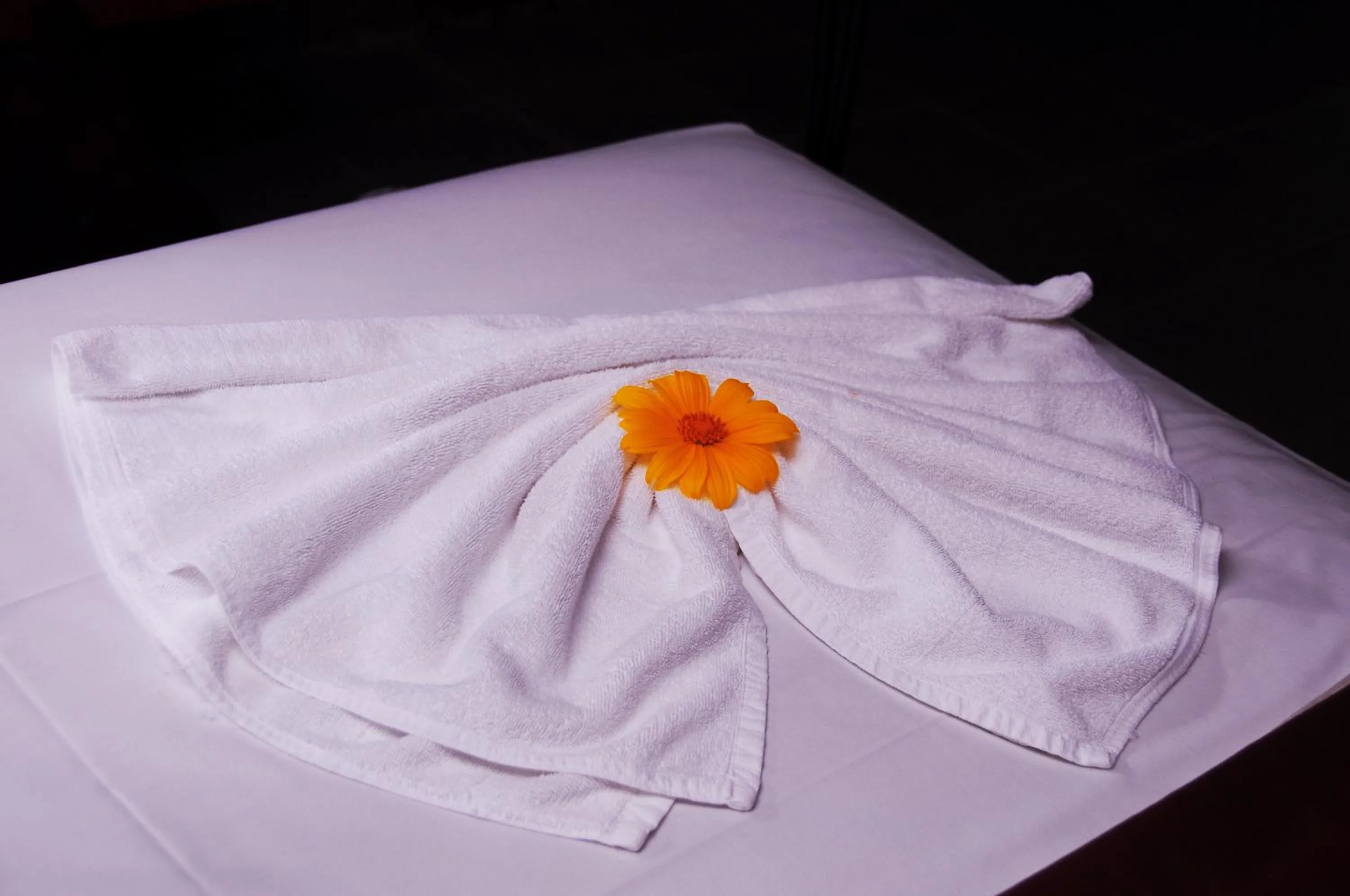 Bedroom in Boulder Garden