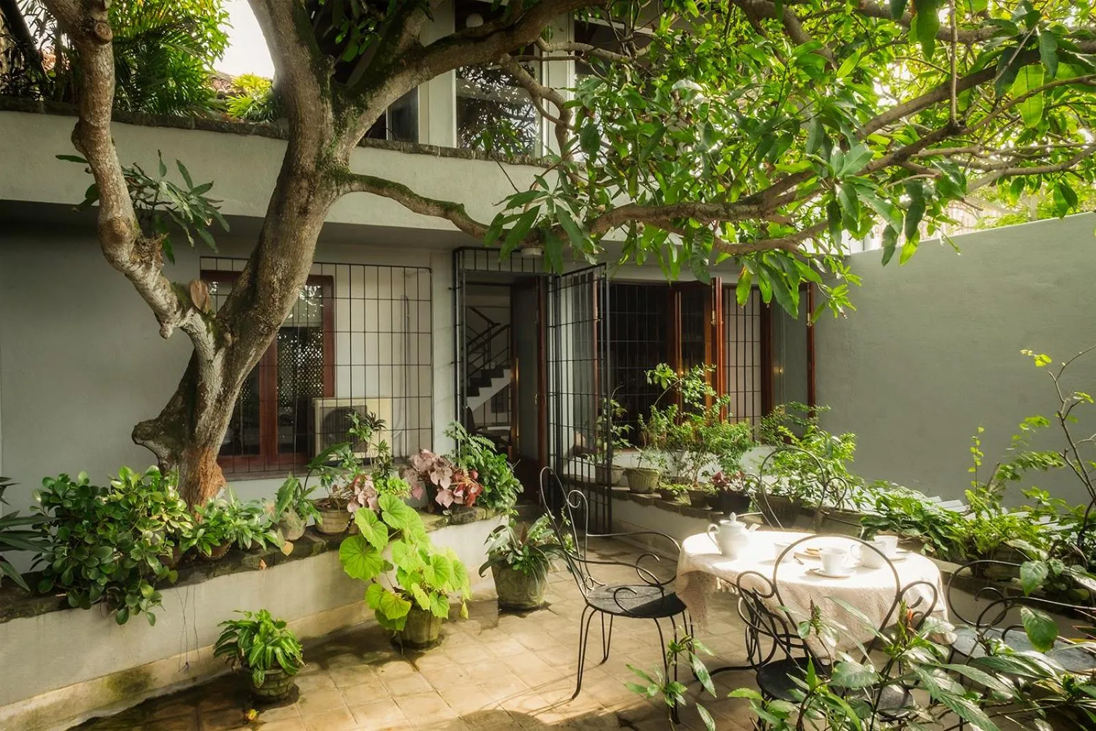 Garden view in Mount Lodge Boutique Hotel