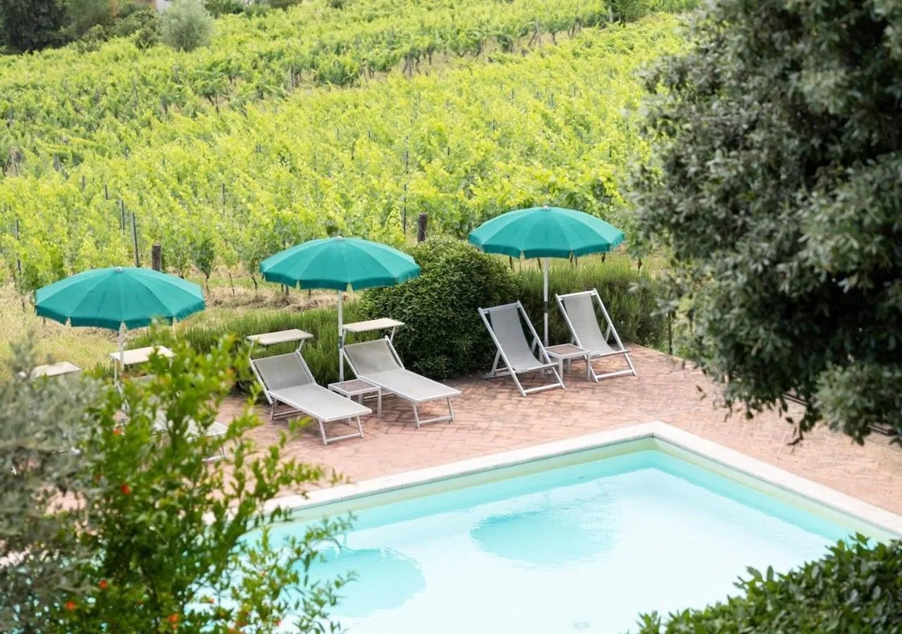 Swimming pool in Poderi Arcangelo