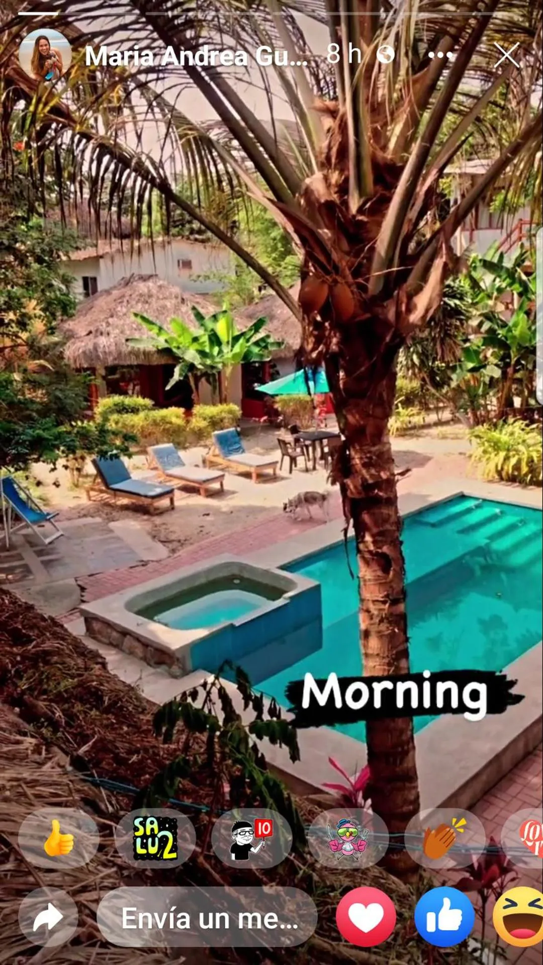 Pool view in Hotel Sumpa