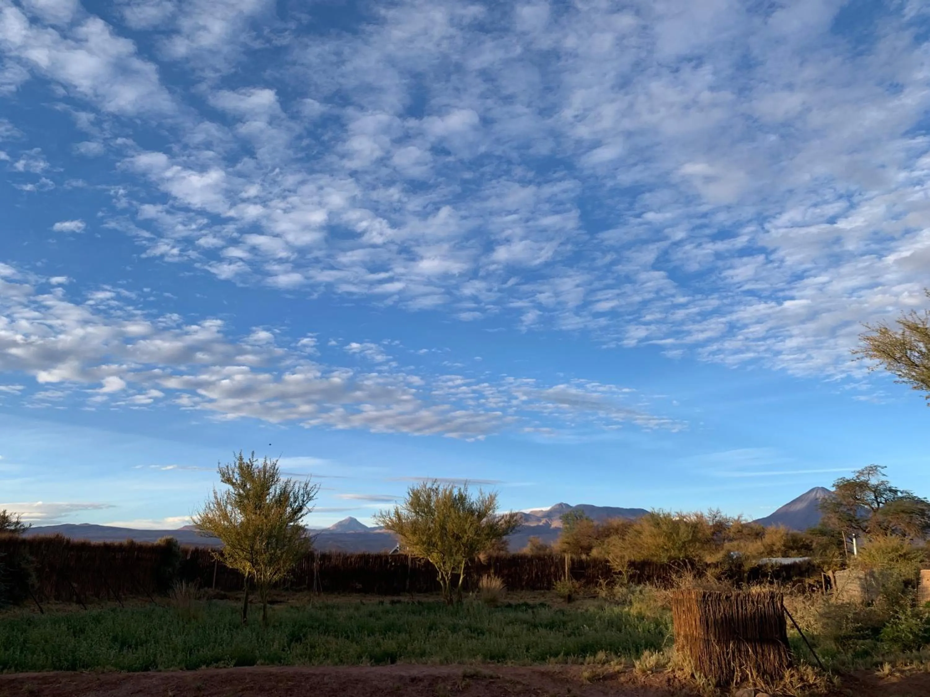 Natural landscape in Sami Atacama