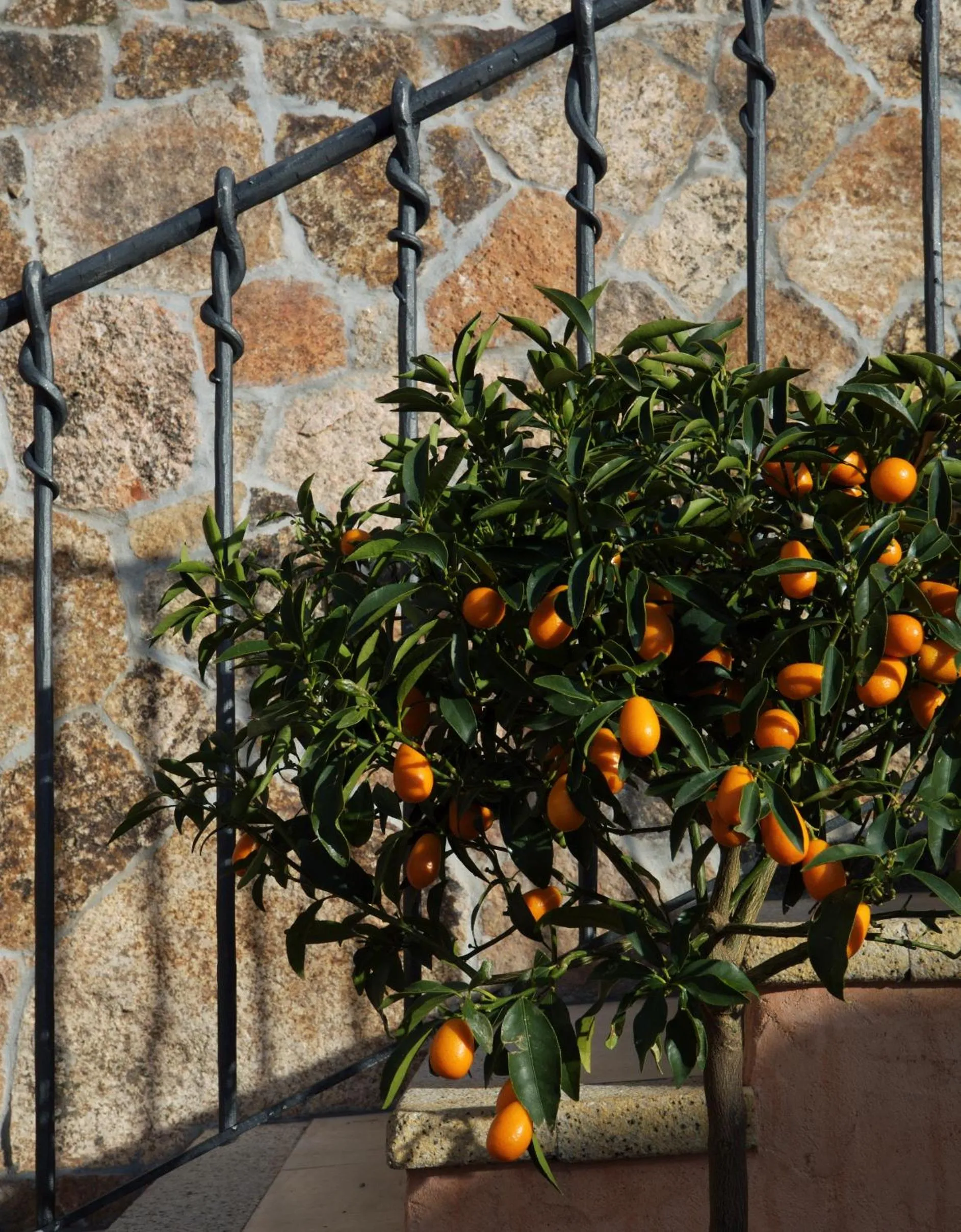 Property building in Hotel Arathena