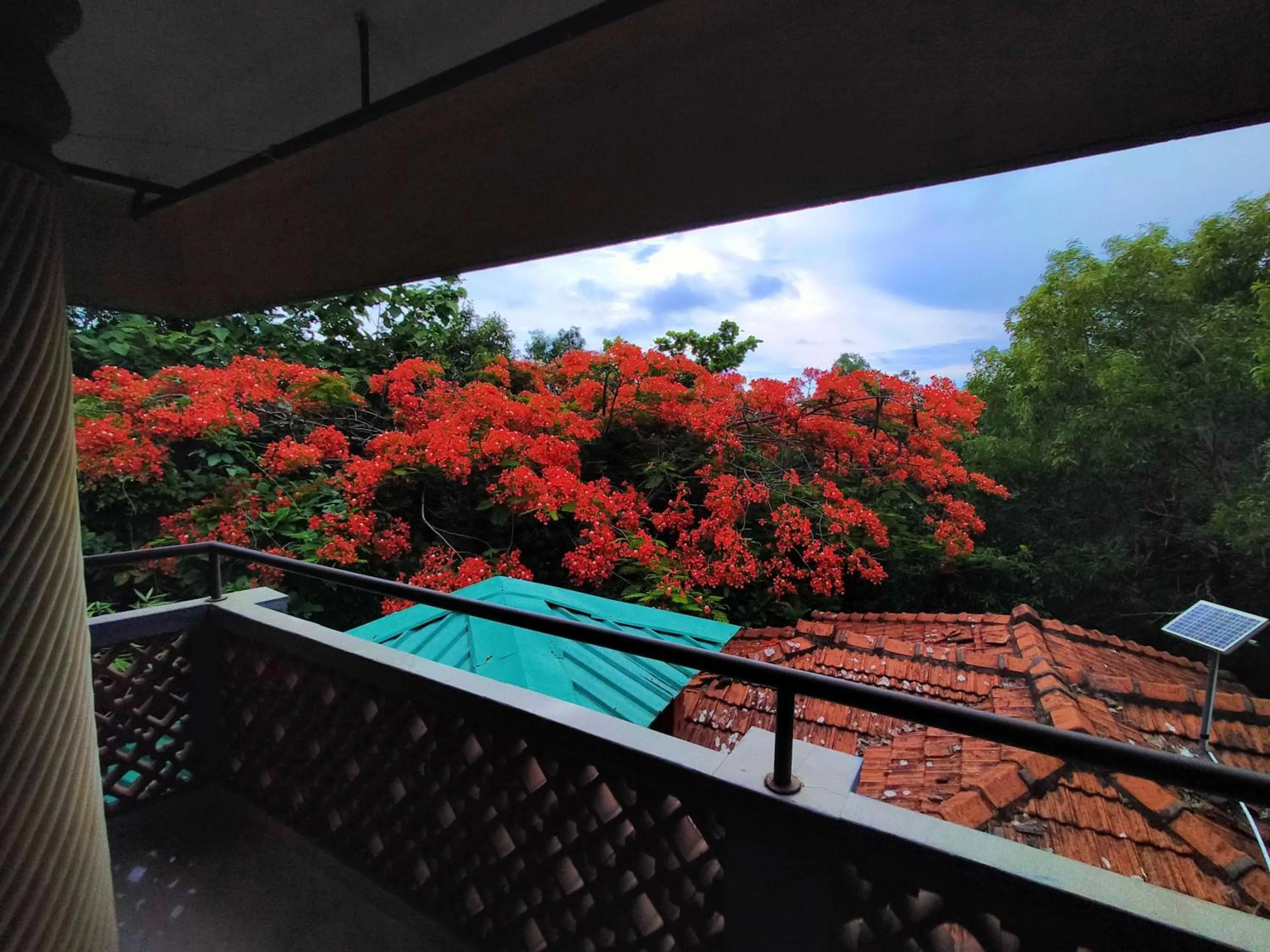 Day in Nature Inn Cottages