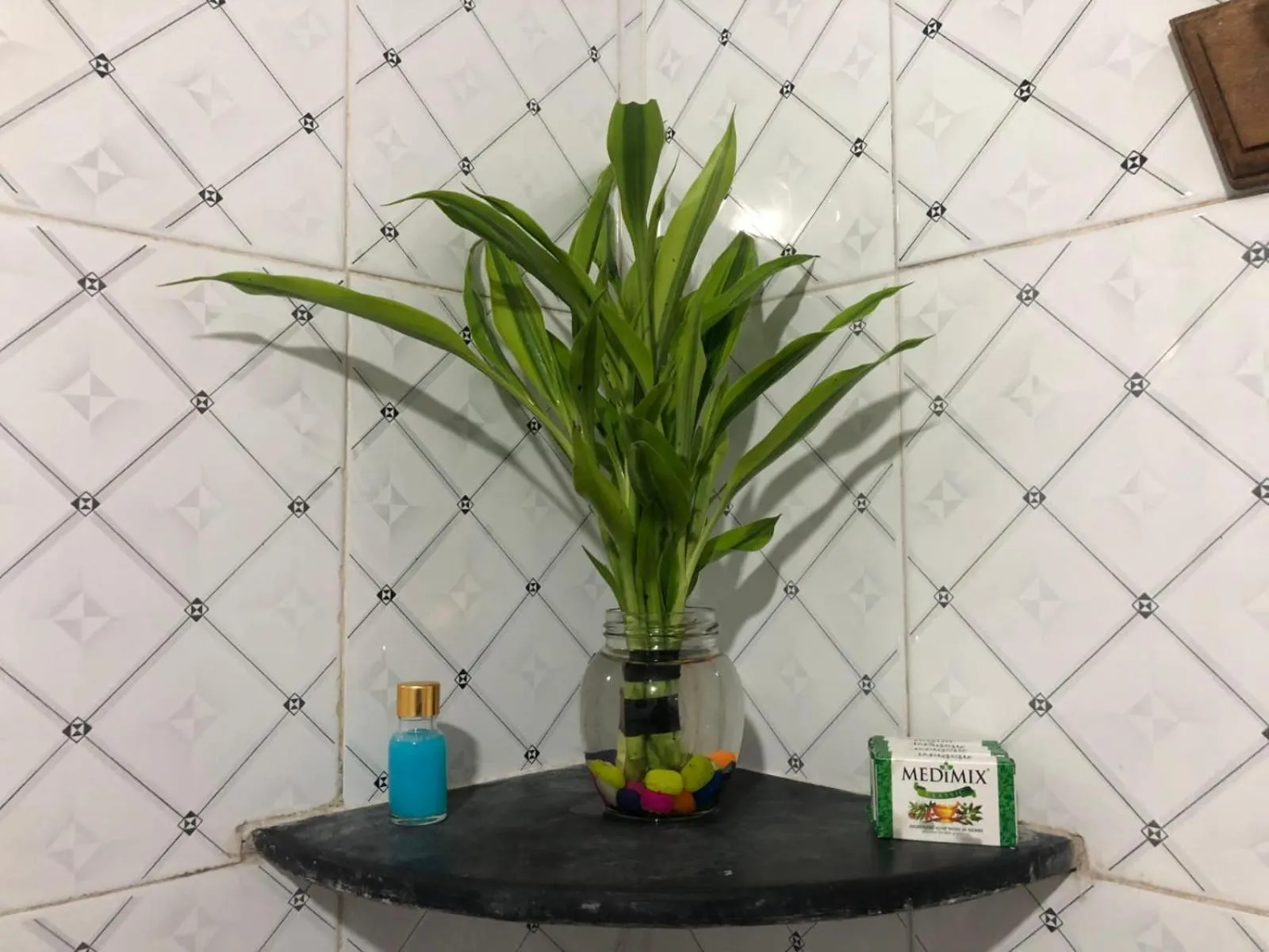 Garden in Nature Inn Cottages