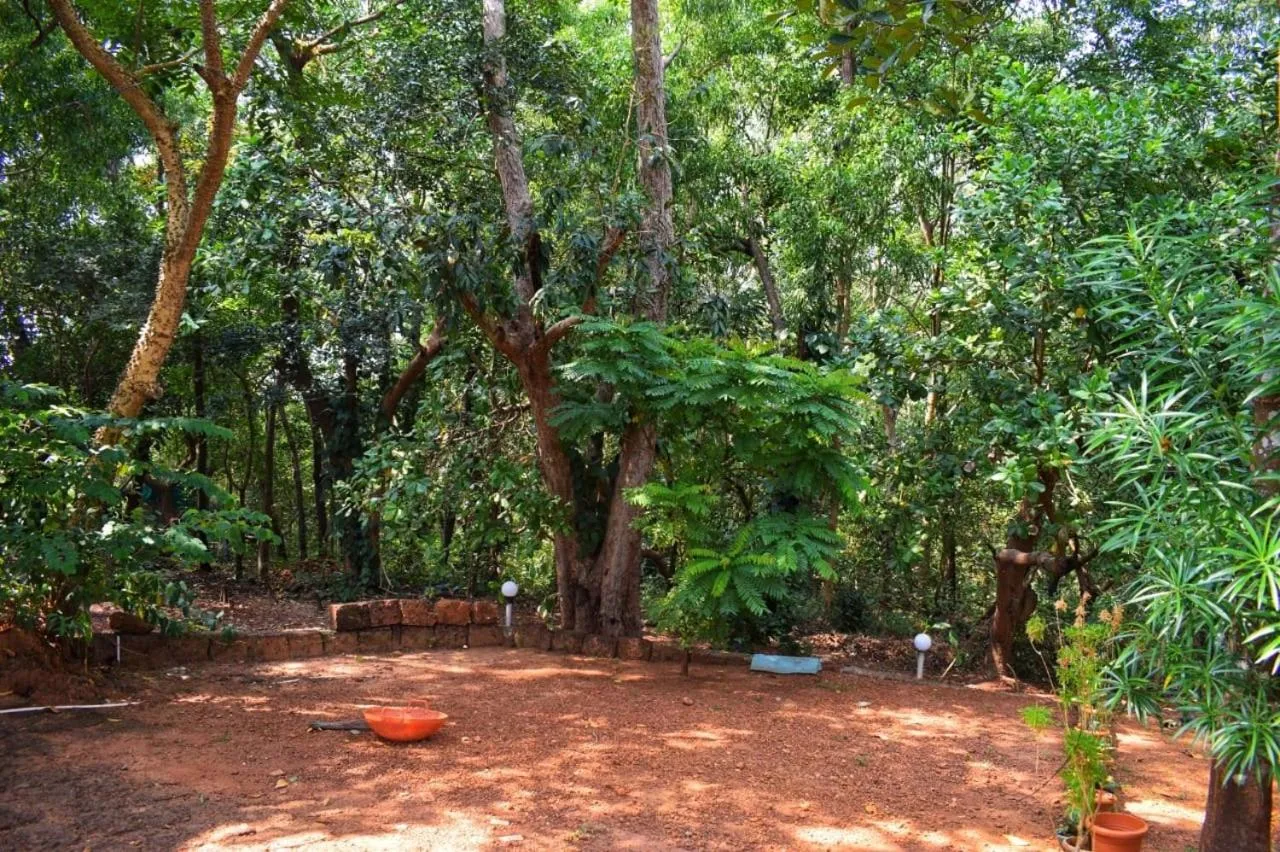 Garden view in Nature Inn Cottages