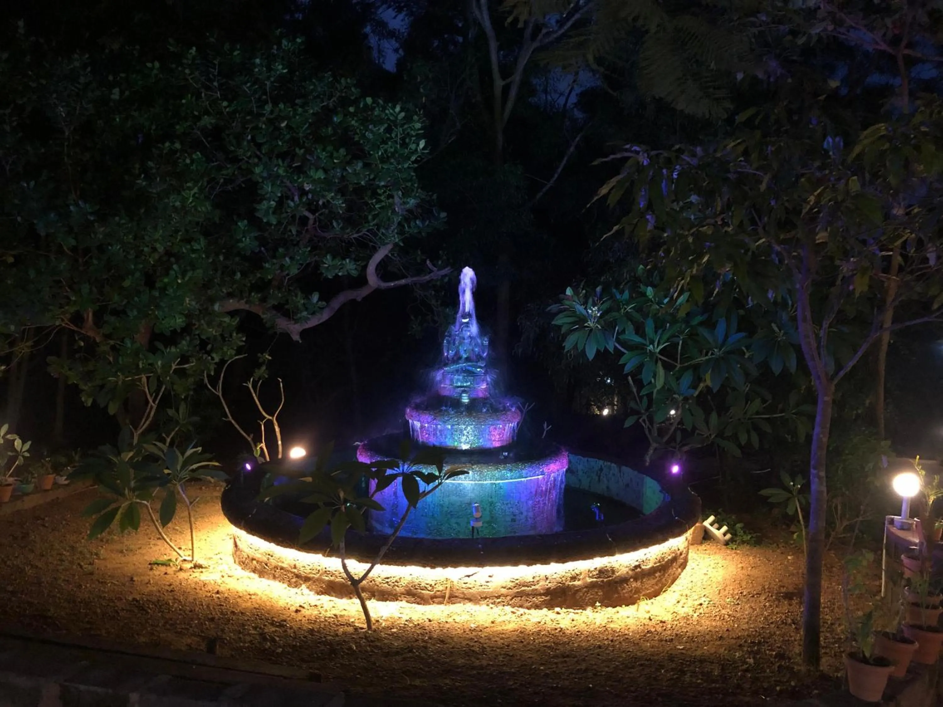 Night in Nature Inn Cottages