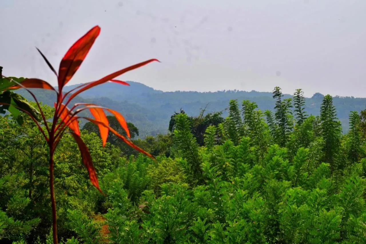 Natural landscape in Nature Inn Cottages