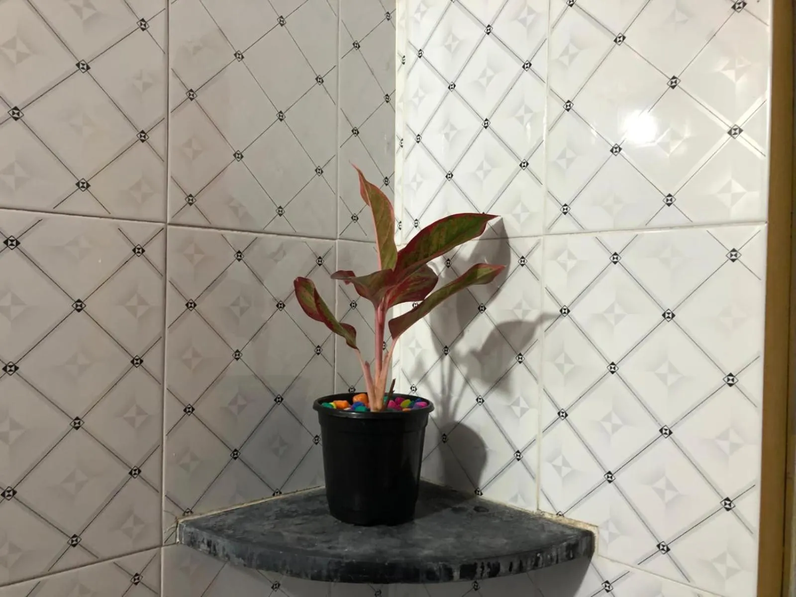 Garden in Nature Inn Cottages