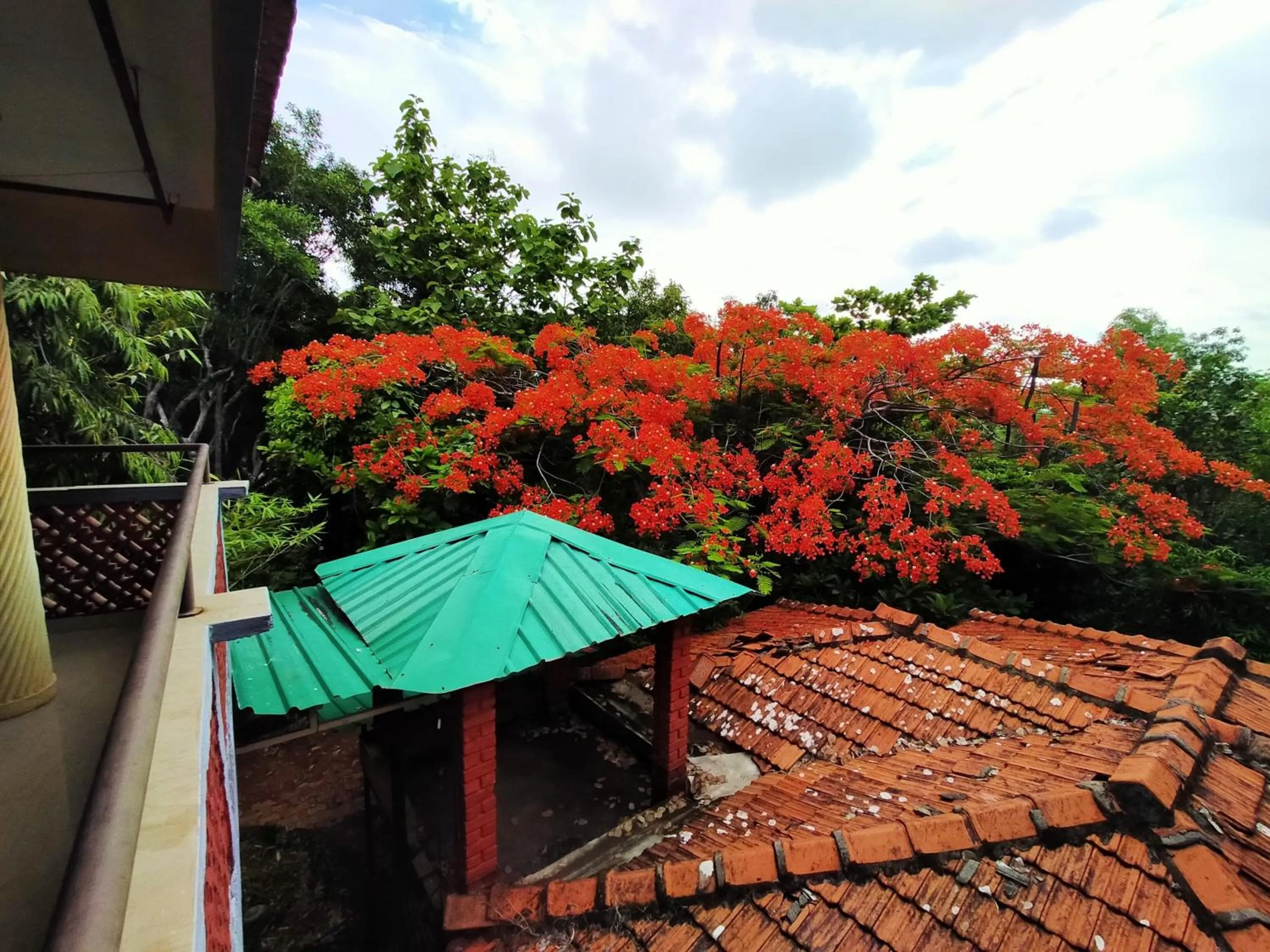 Day in Nature Inn Cottages