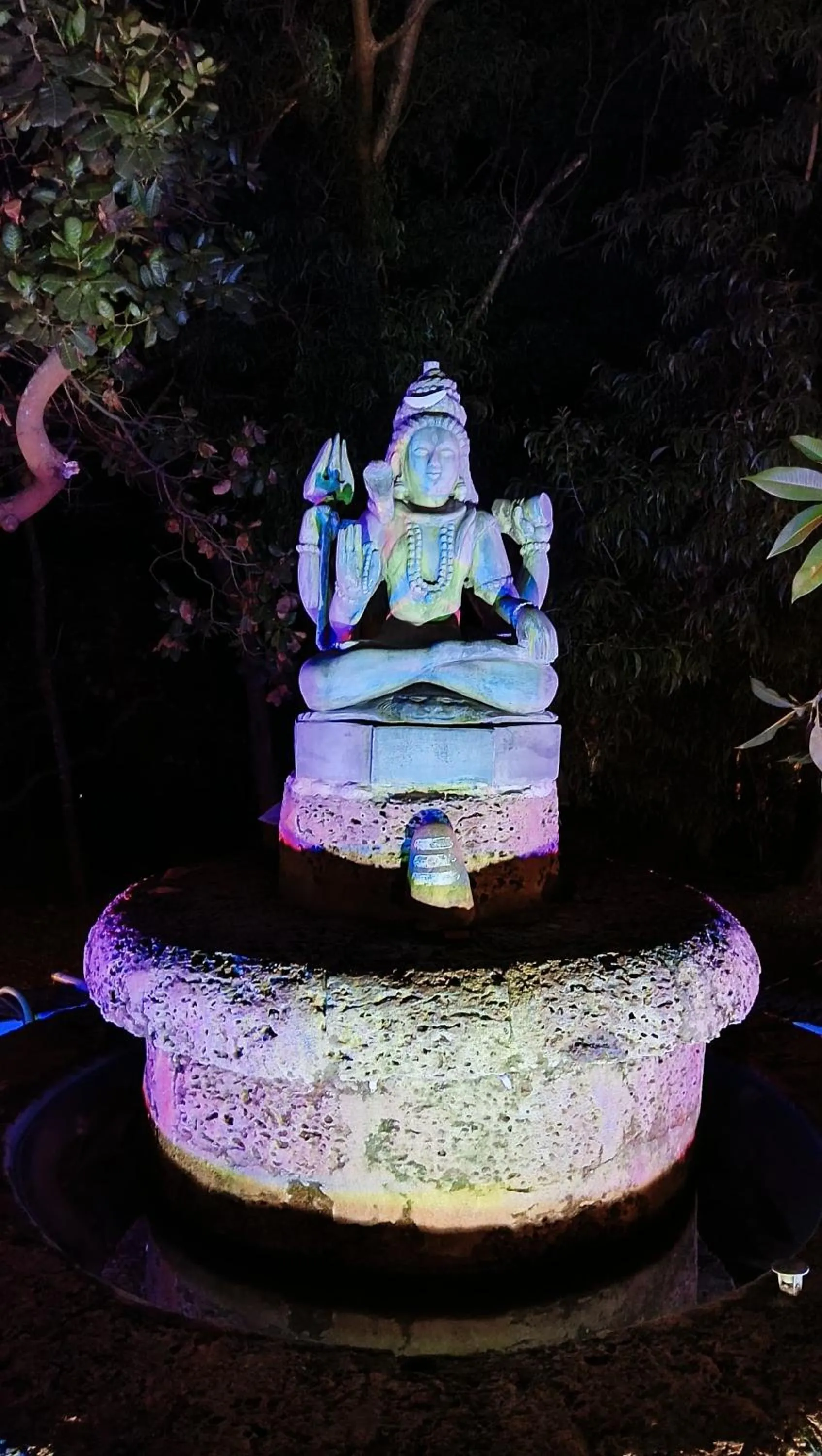 Garden view in Nature Inn Cottages