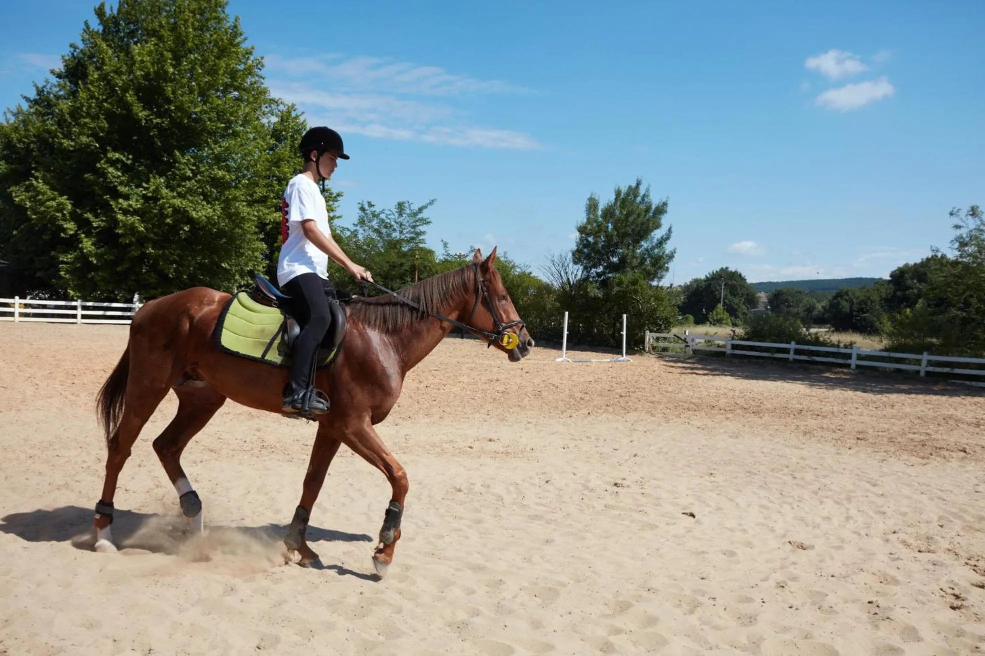 People in Dachas Cove Hotel