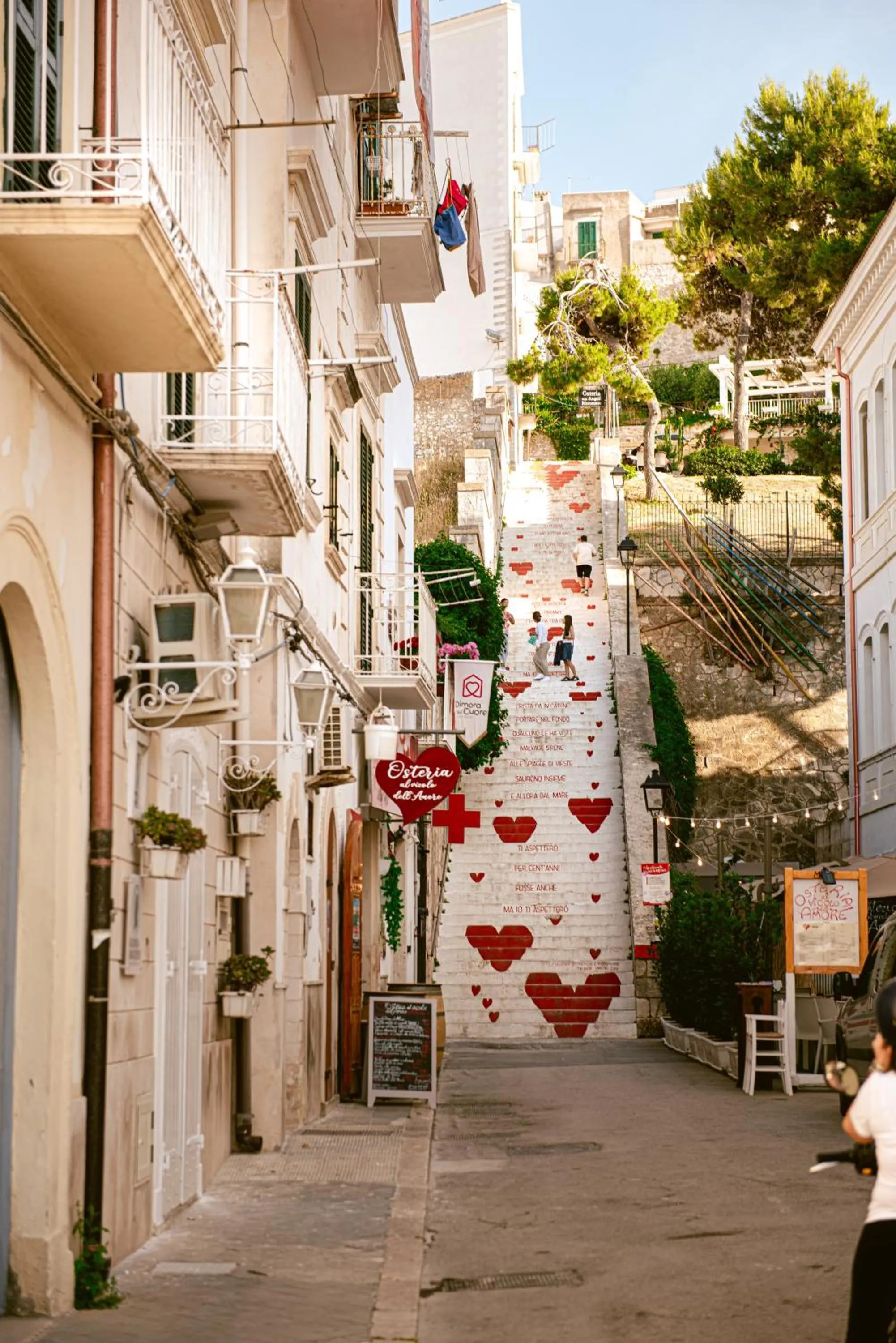 Neighbourhood in Hotel Degli Aranci