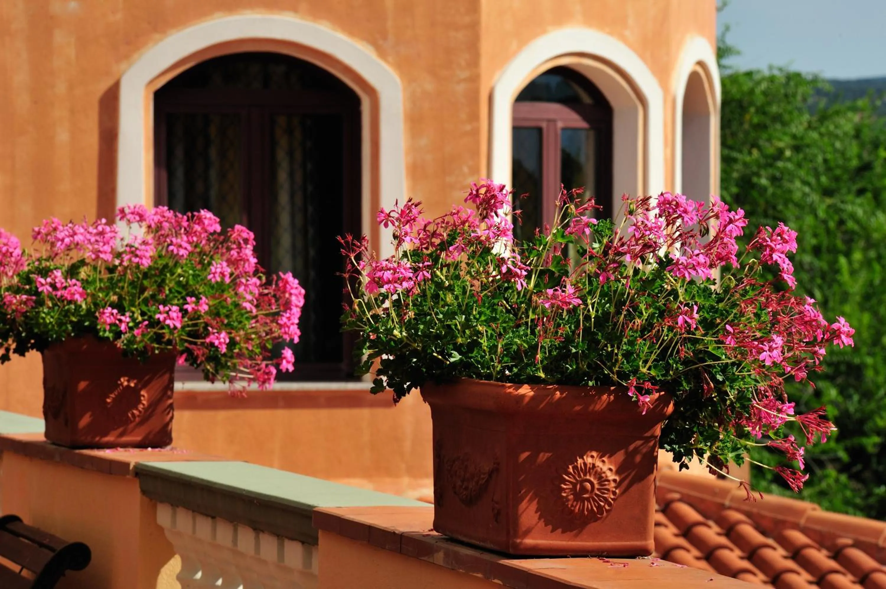 Balcony/Terrace in Hotel Su Lithu