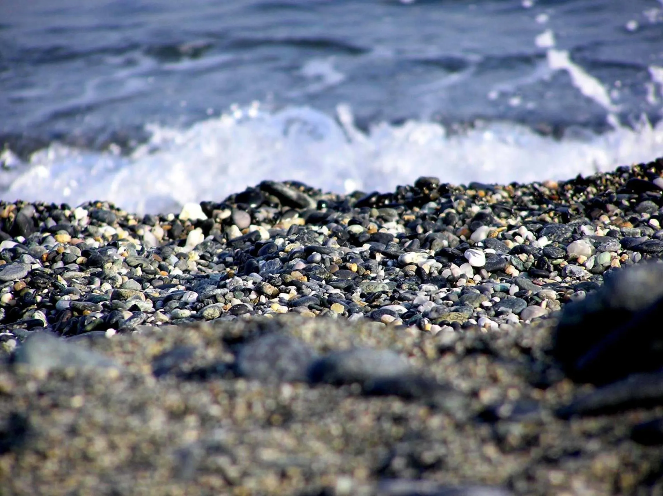 Area and facilities in La Camogliese Hotel B&B