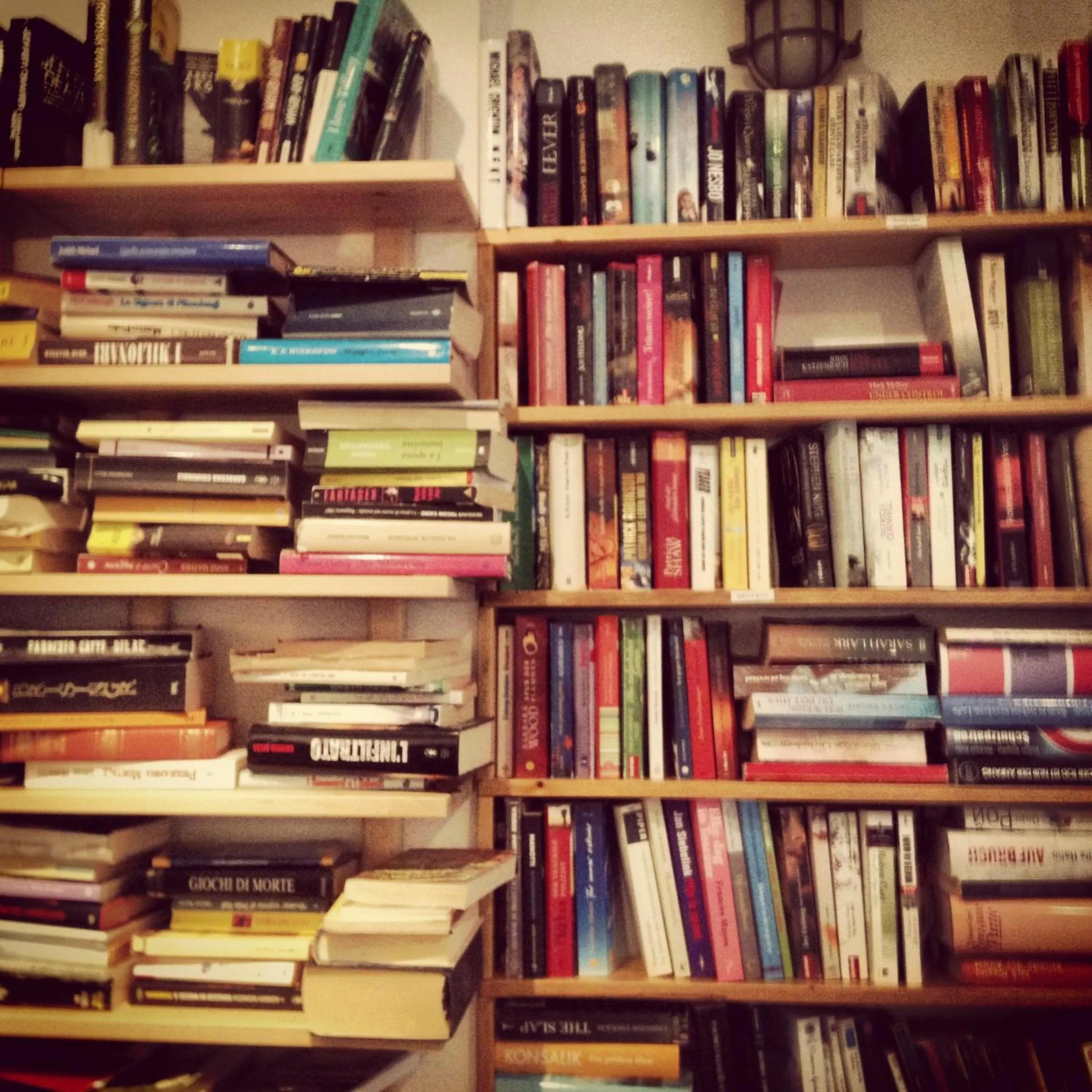 Library in Domus De Janas Sul Mare