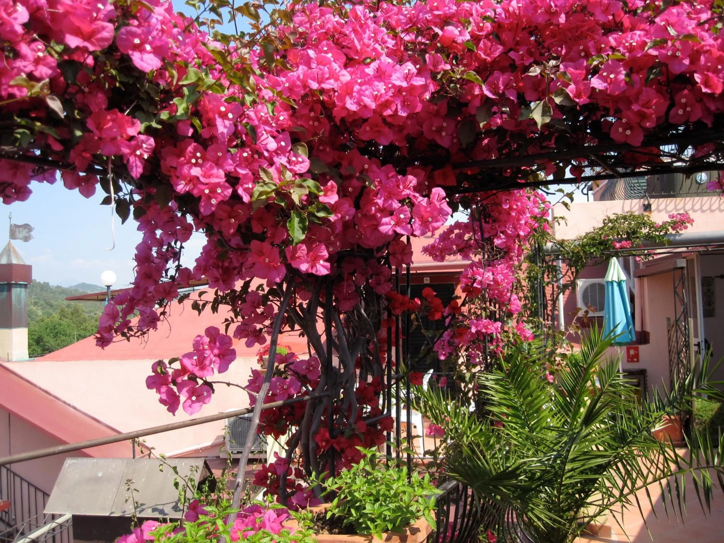 Balcony/Terrace in Domus De Janas Sul Mare