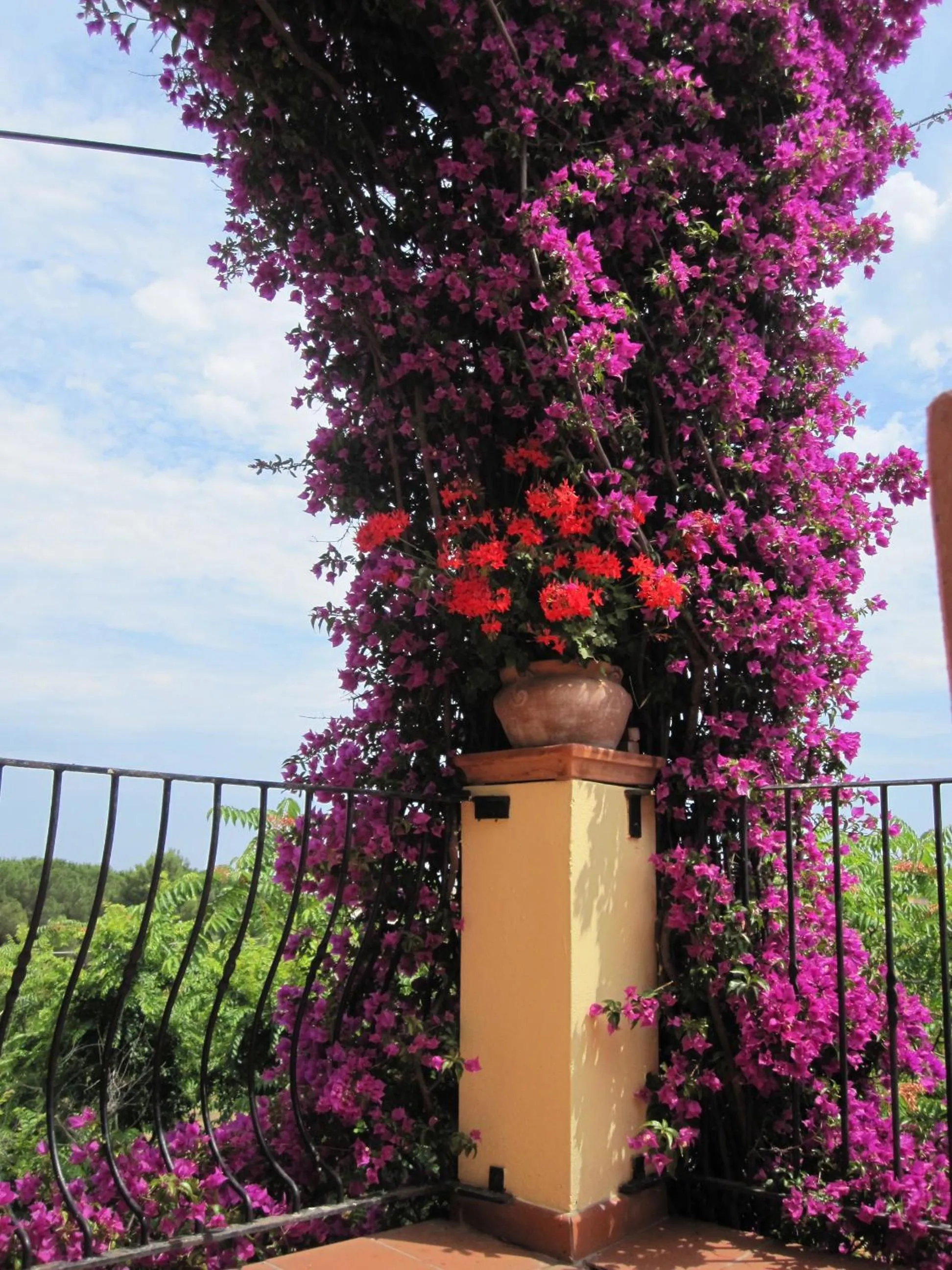 Balcony/Terrace in Domus De Janas Sul Mare
