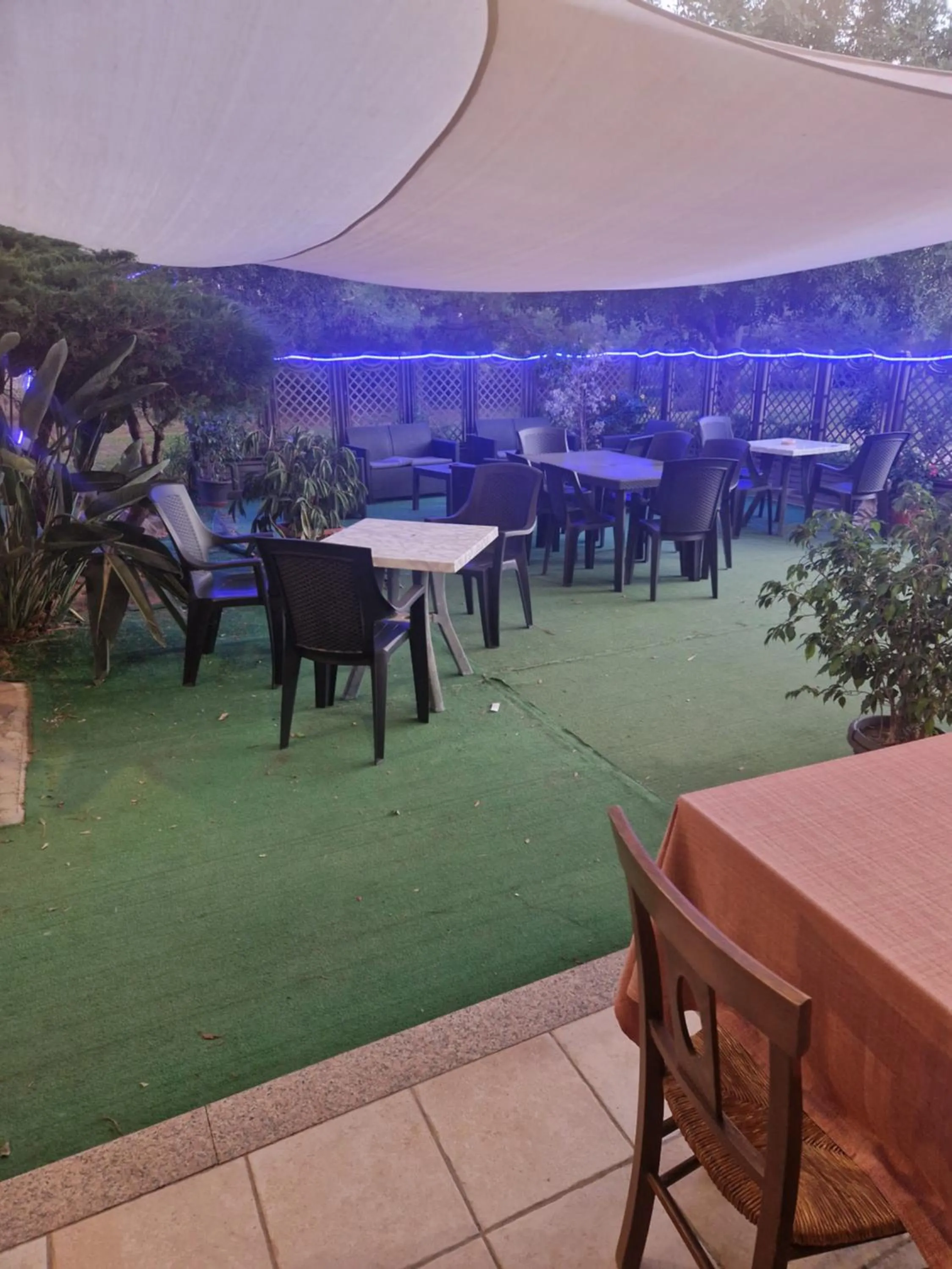 Restaurant/places to eat in Hotel Perda Rubia