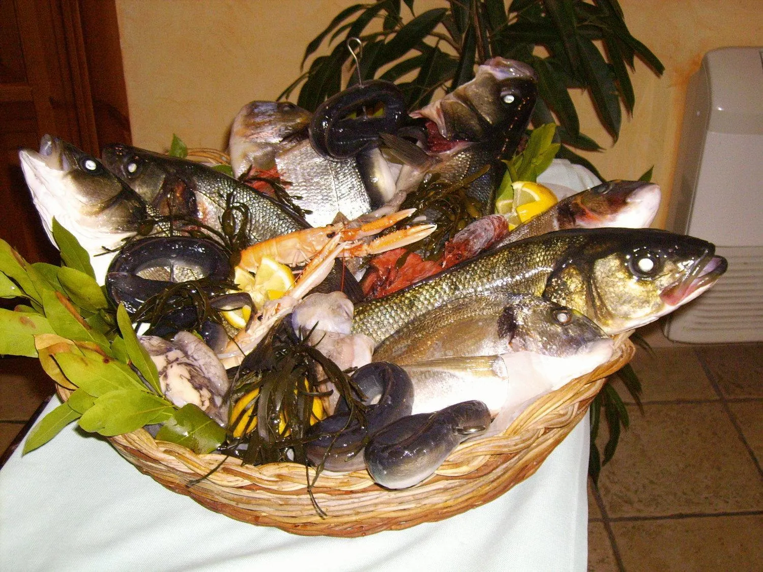 Food in Hotel Perda Rubia