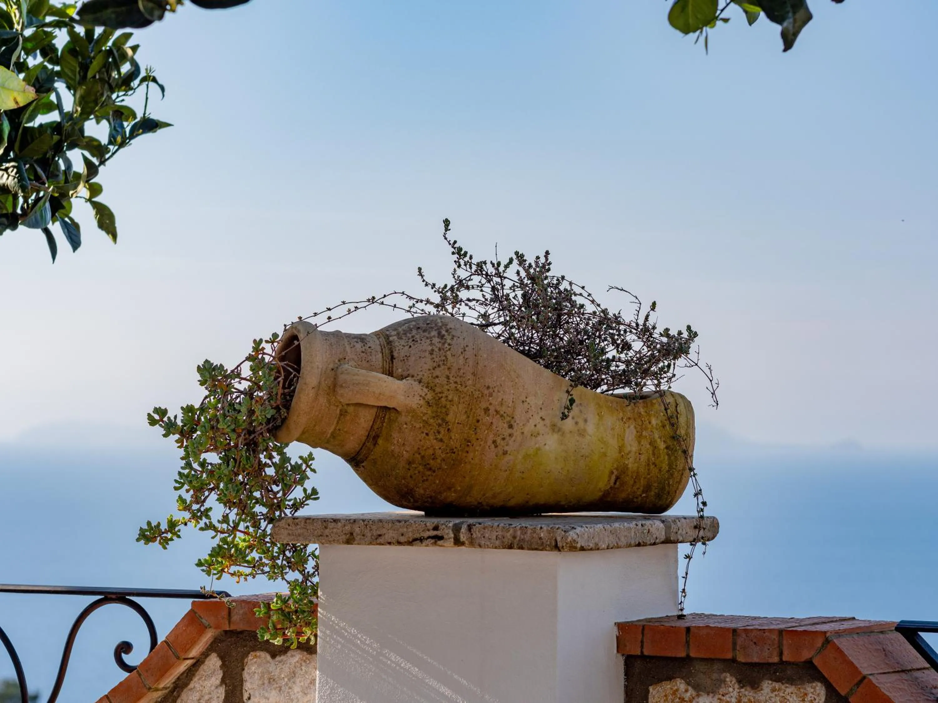 Natural landscape in Casa Astra