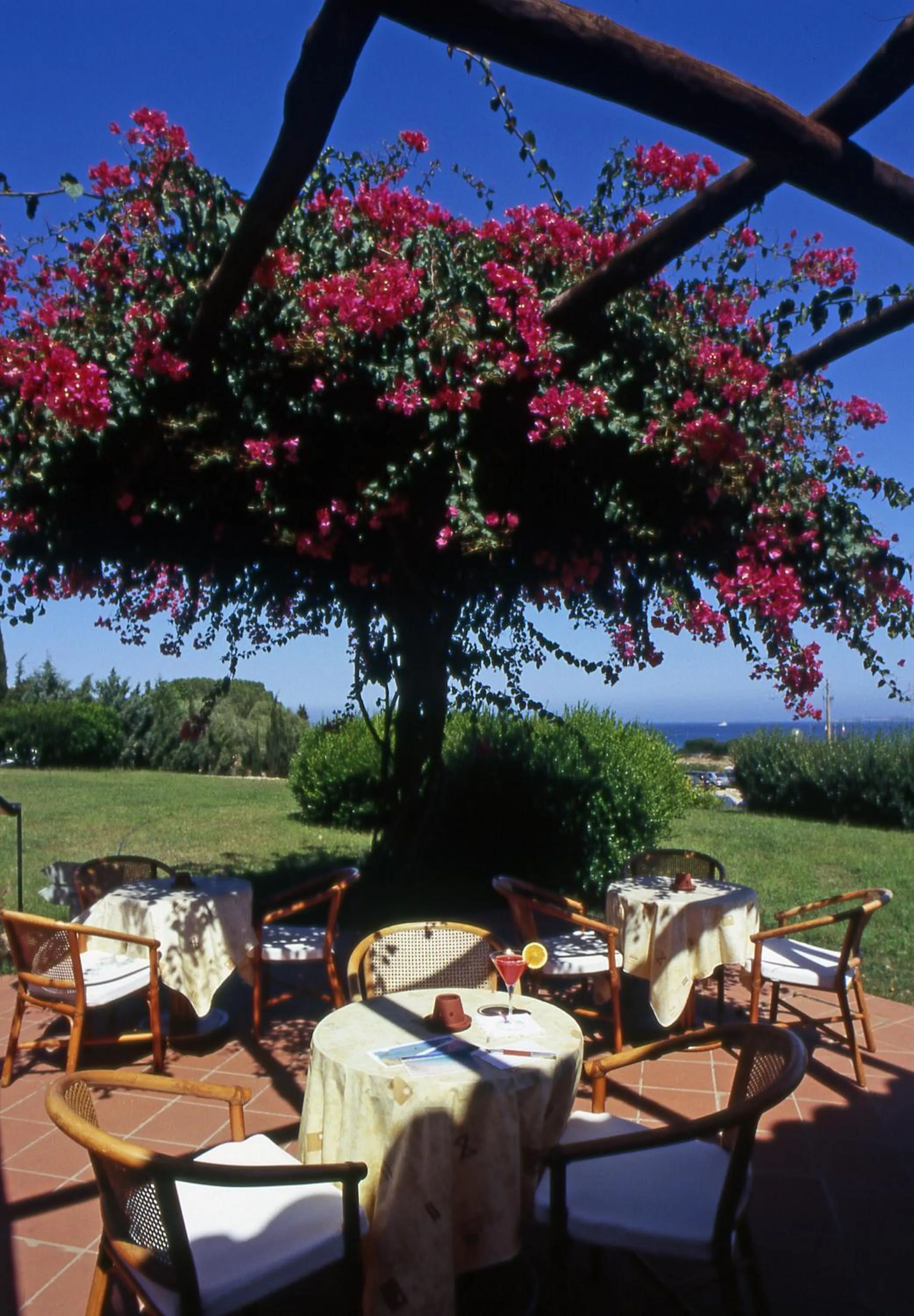 Balcony/Terrace in Hotel Stelle Marine