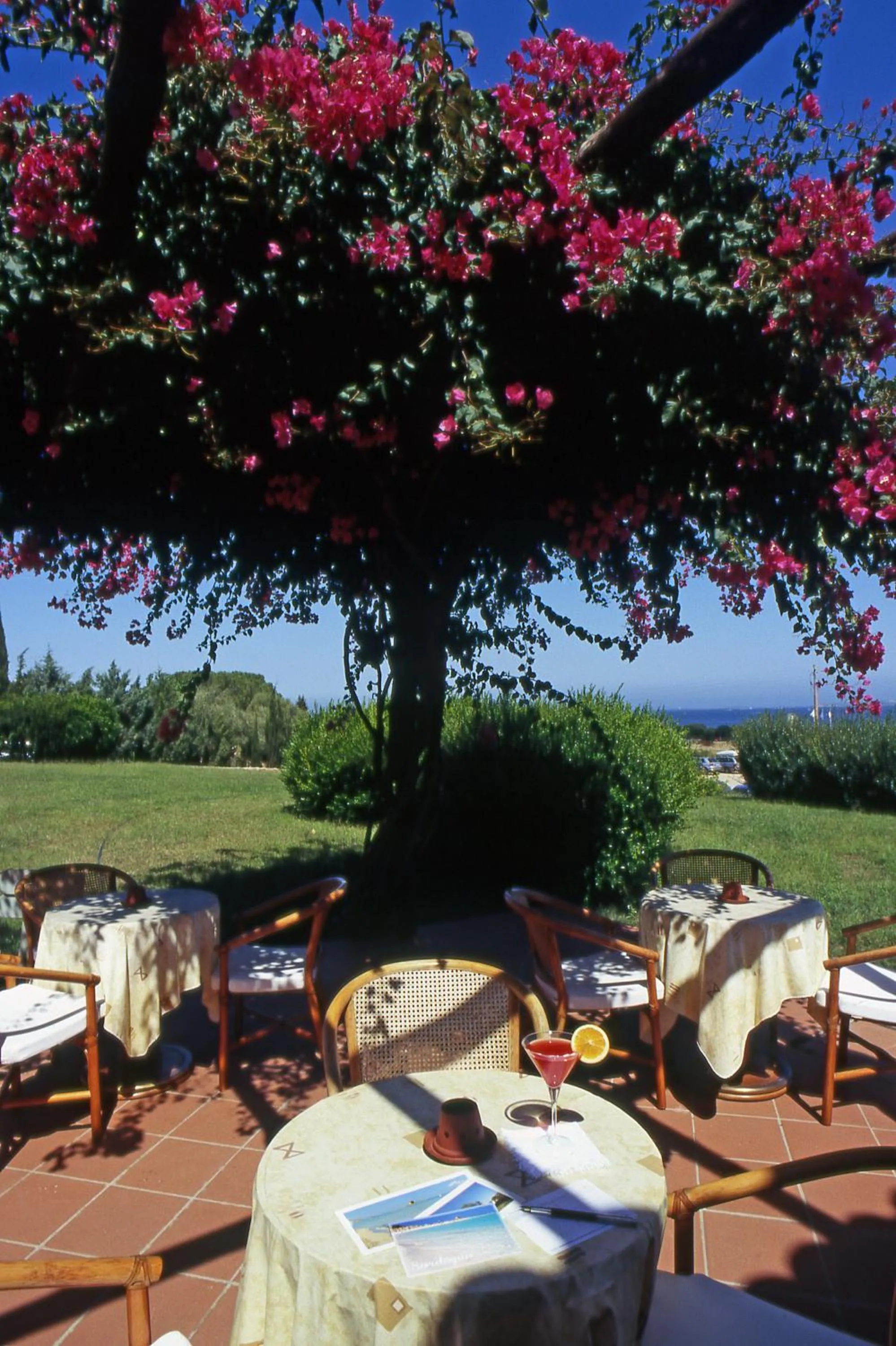 Balcony/Terrace in Hotel Stelle Marine