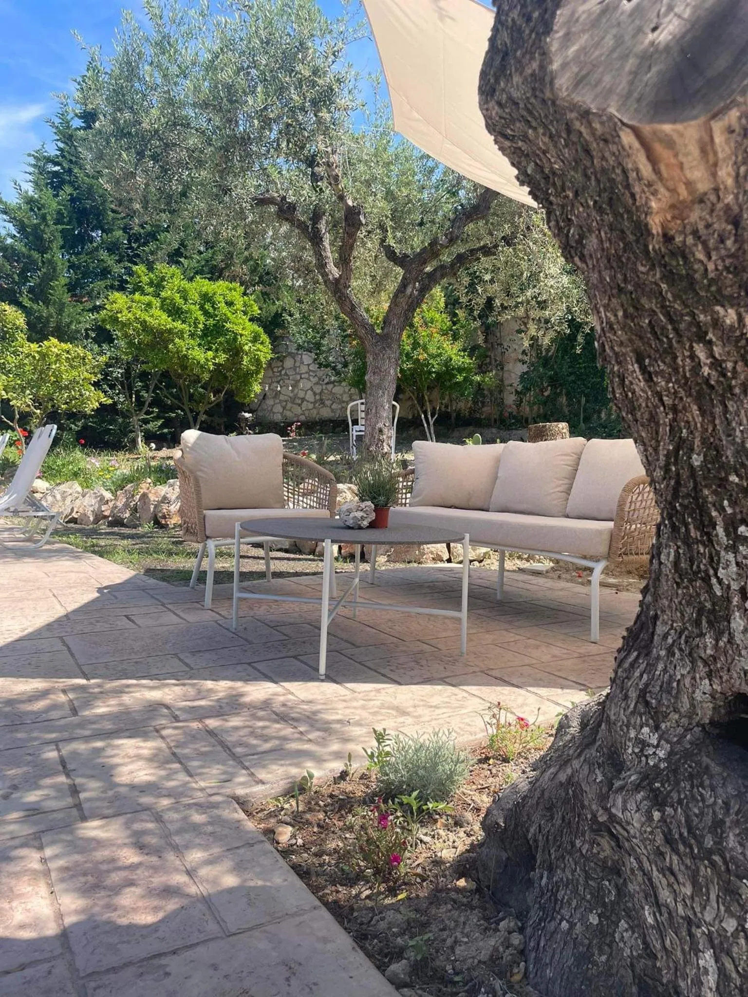 Nissi Collection Rooms