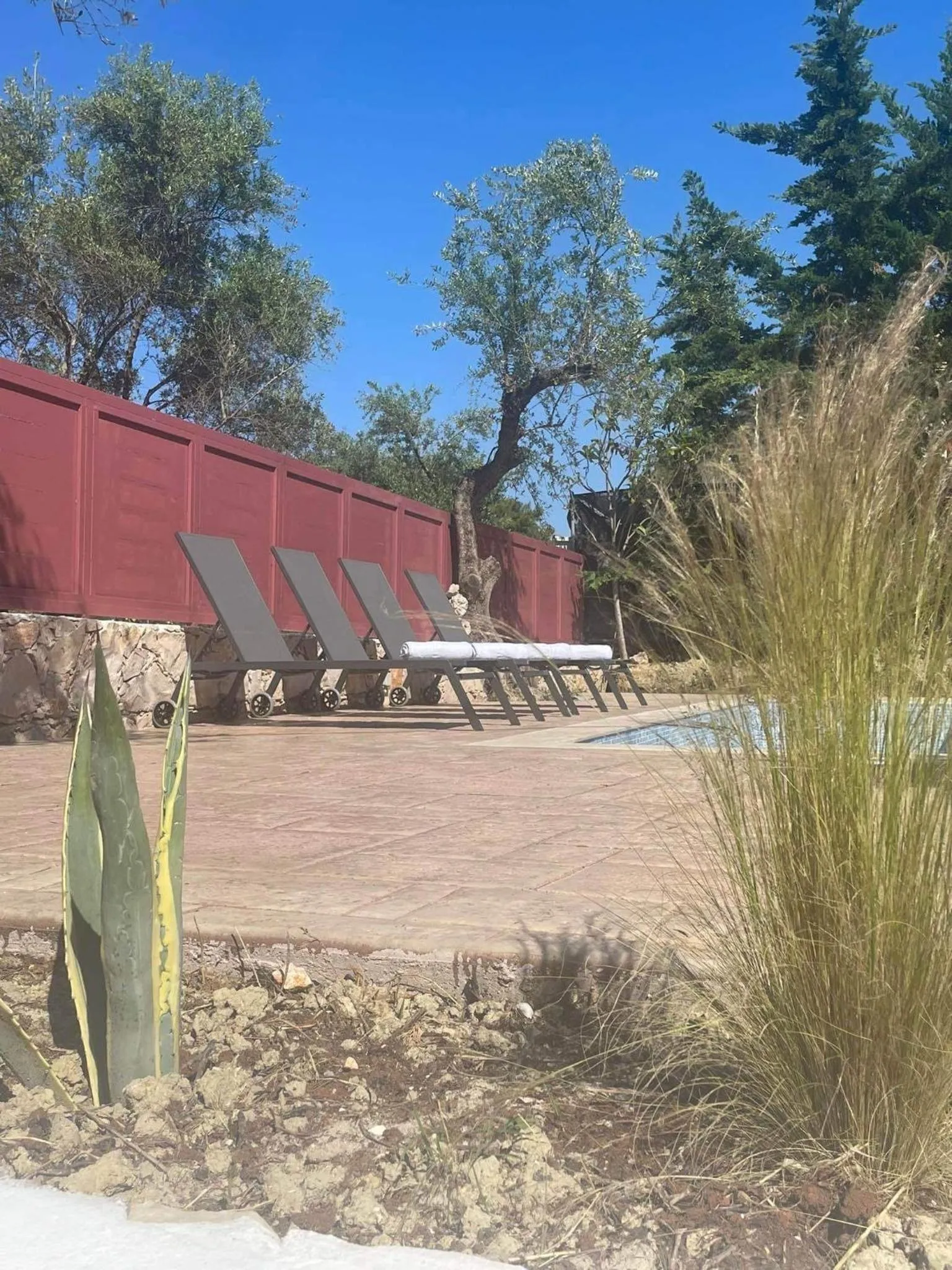 Nissi Collection Rooms