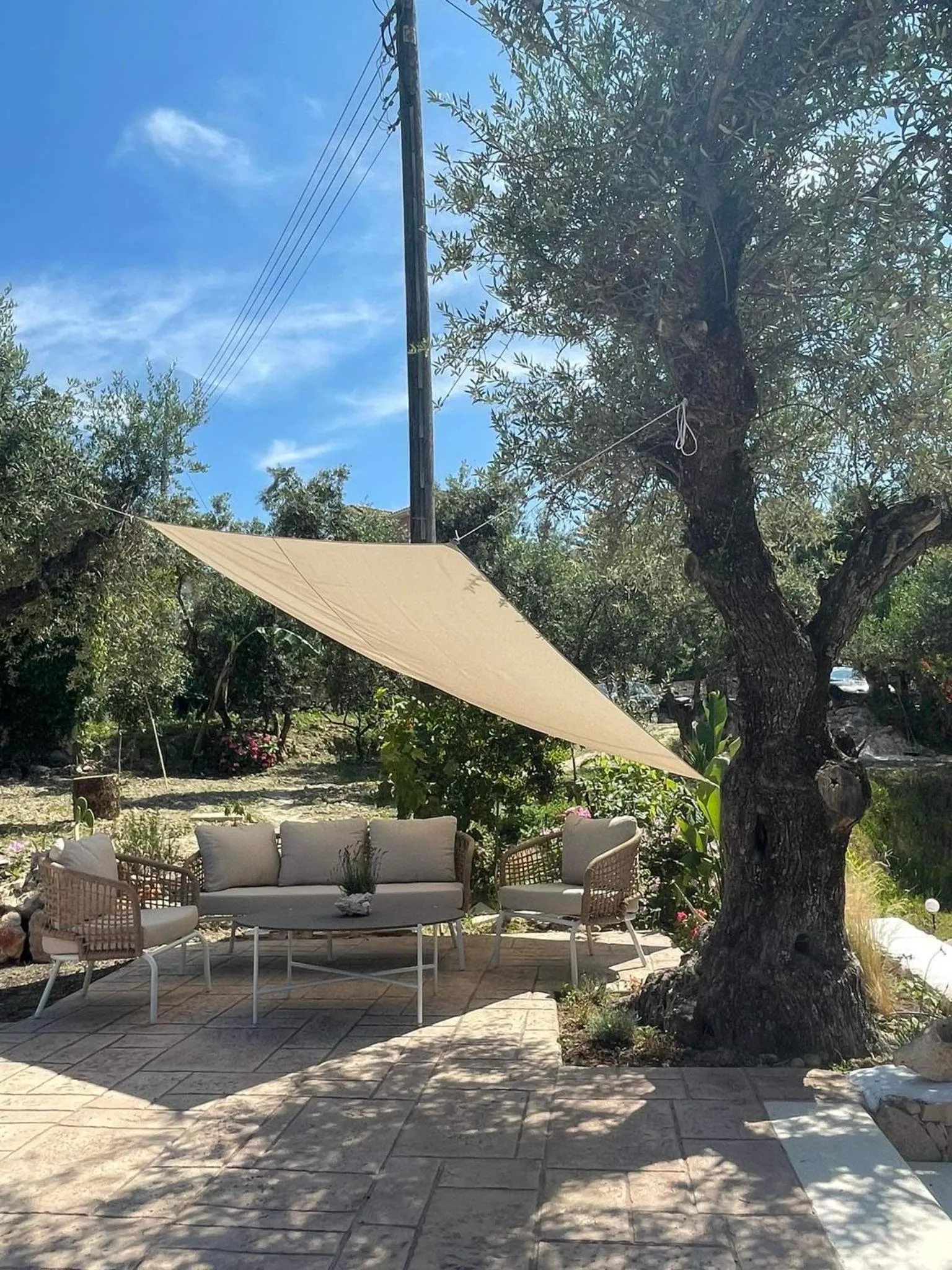 Nissi Collection Rooms