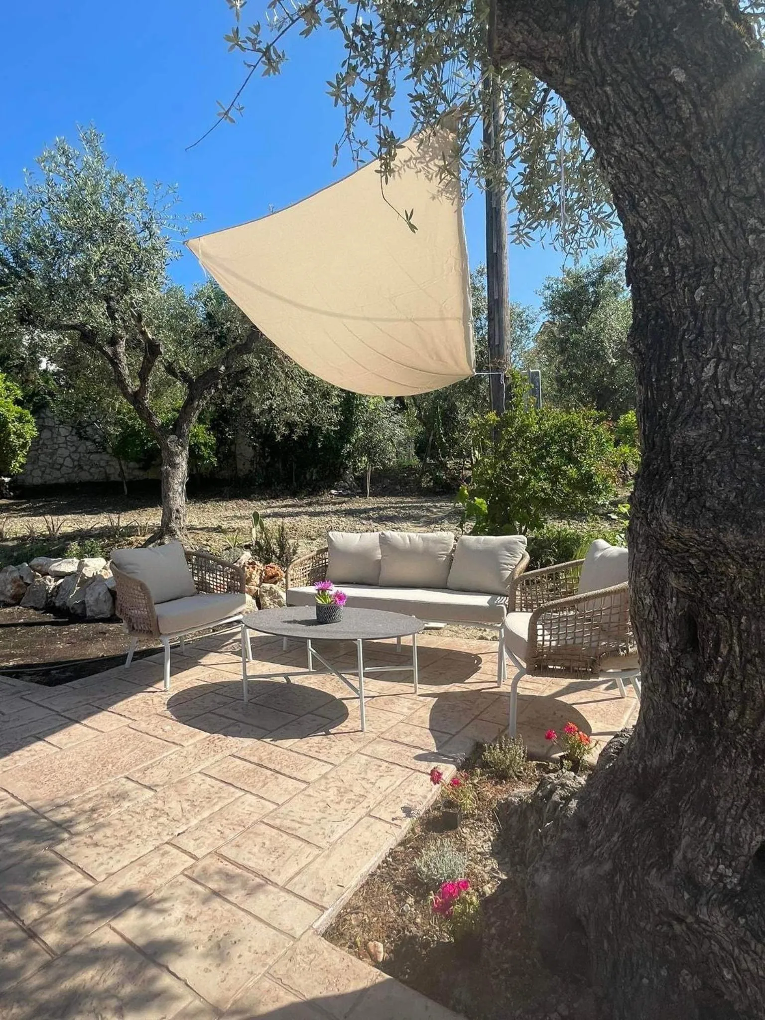 Nissi Collection Rooms