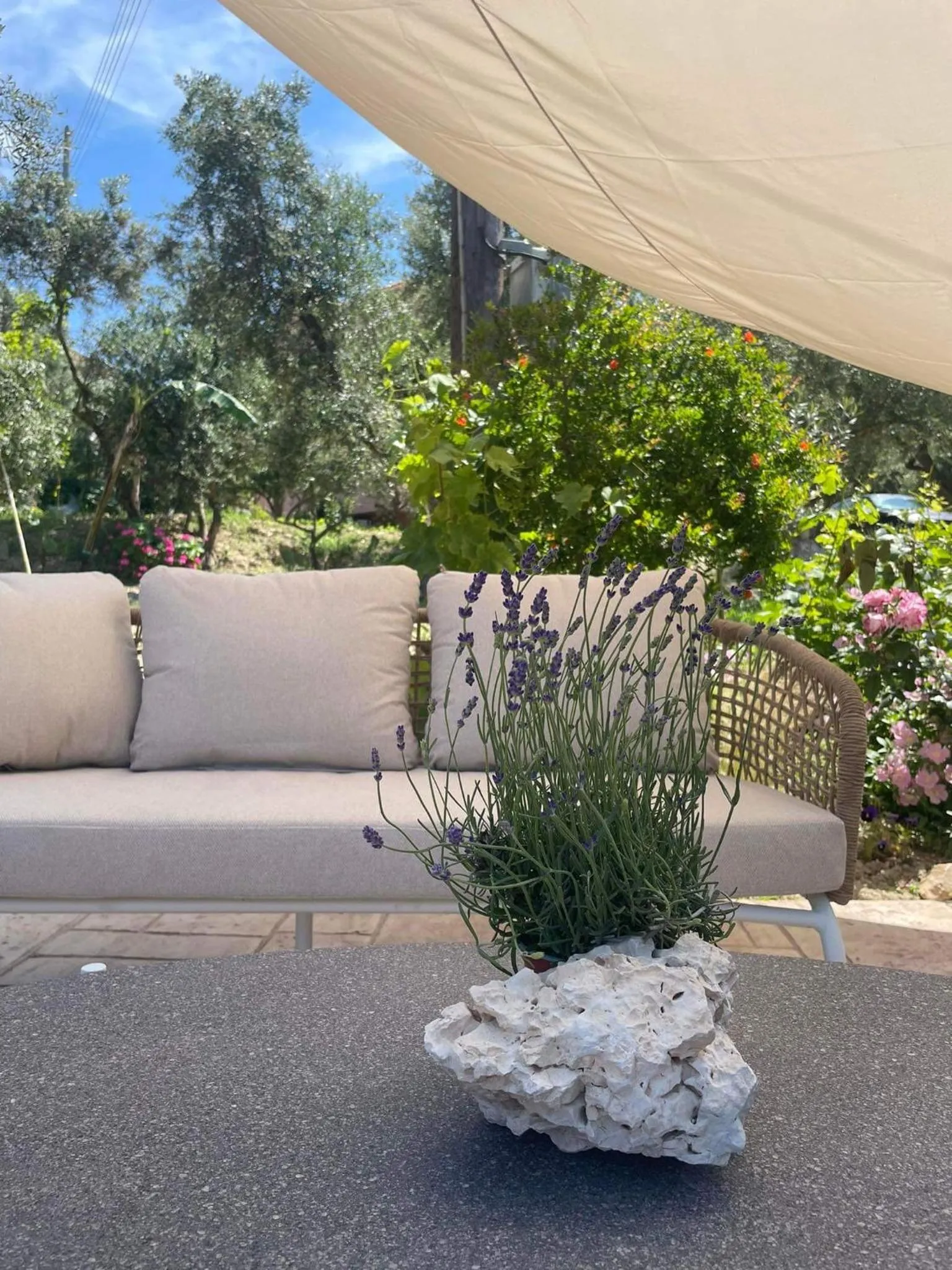 Nissi Collection Rooms