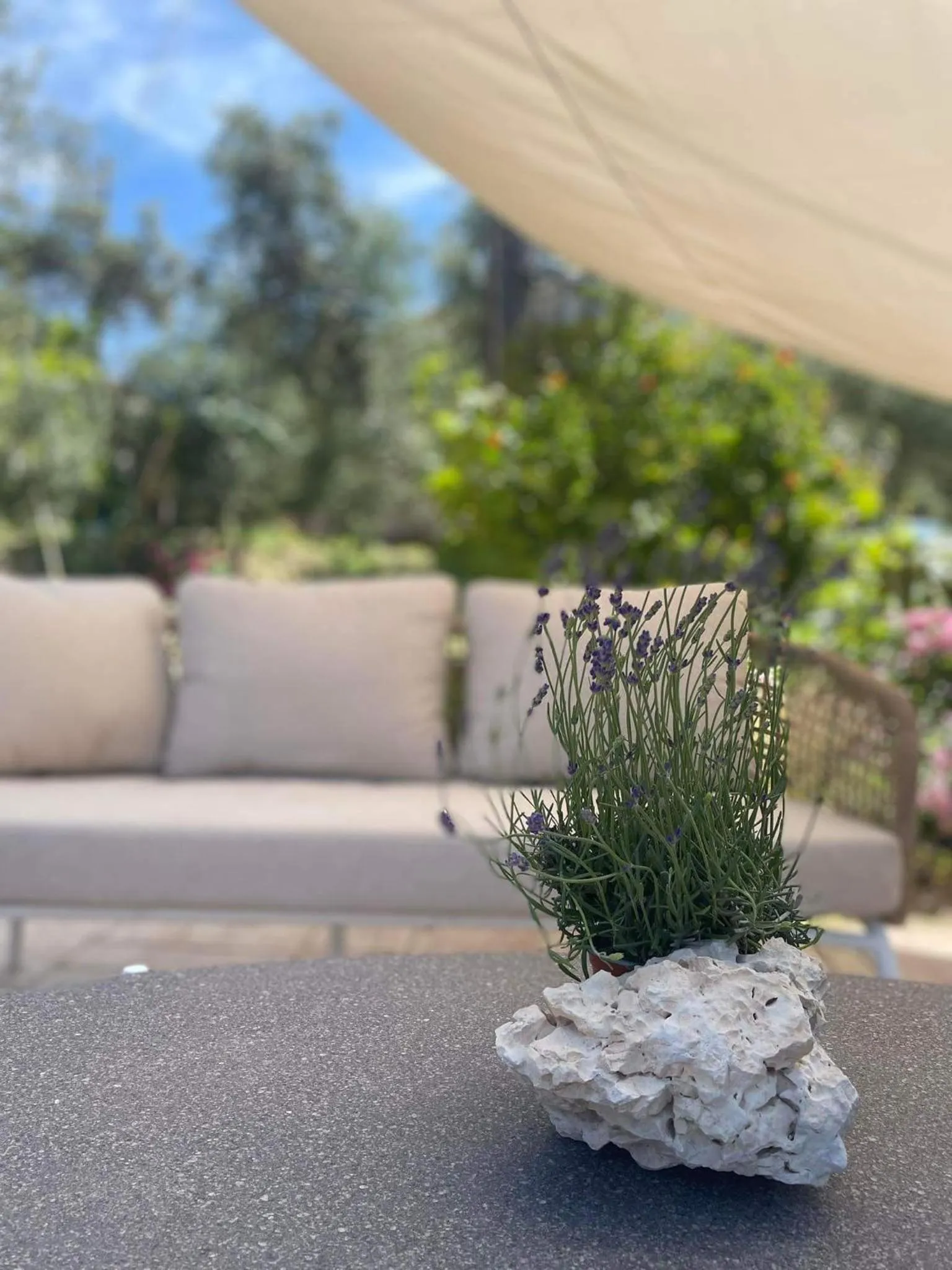 Nissi Collection Rooms