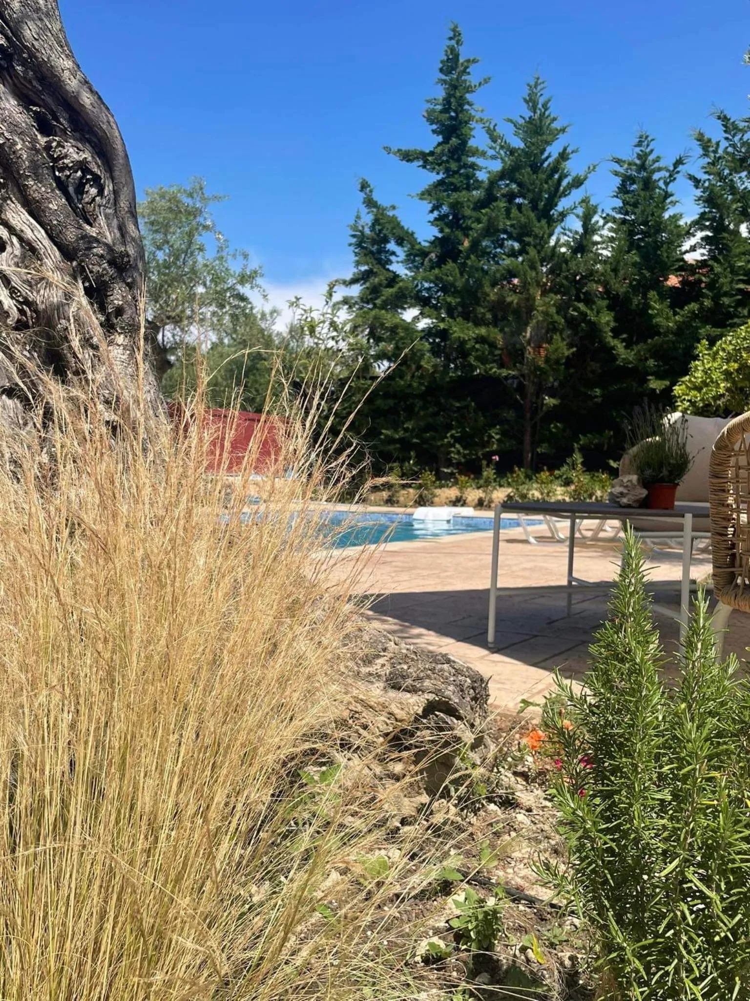 Nissi Collection Rooms