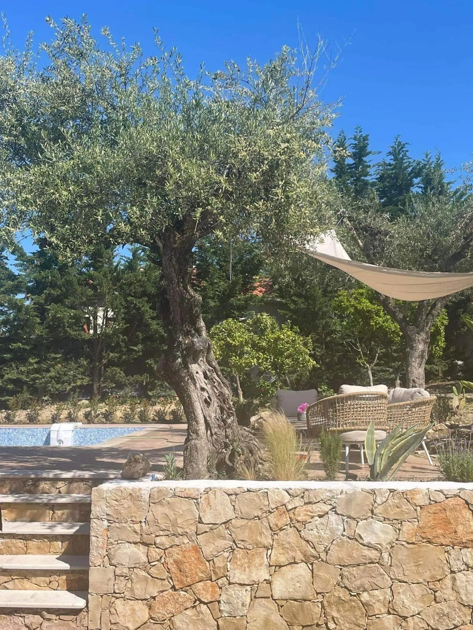 Nissi Collection Rooms